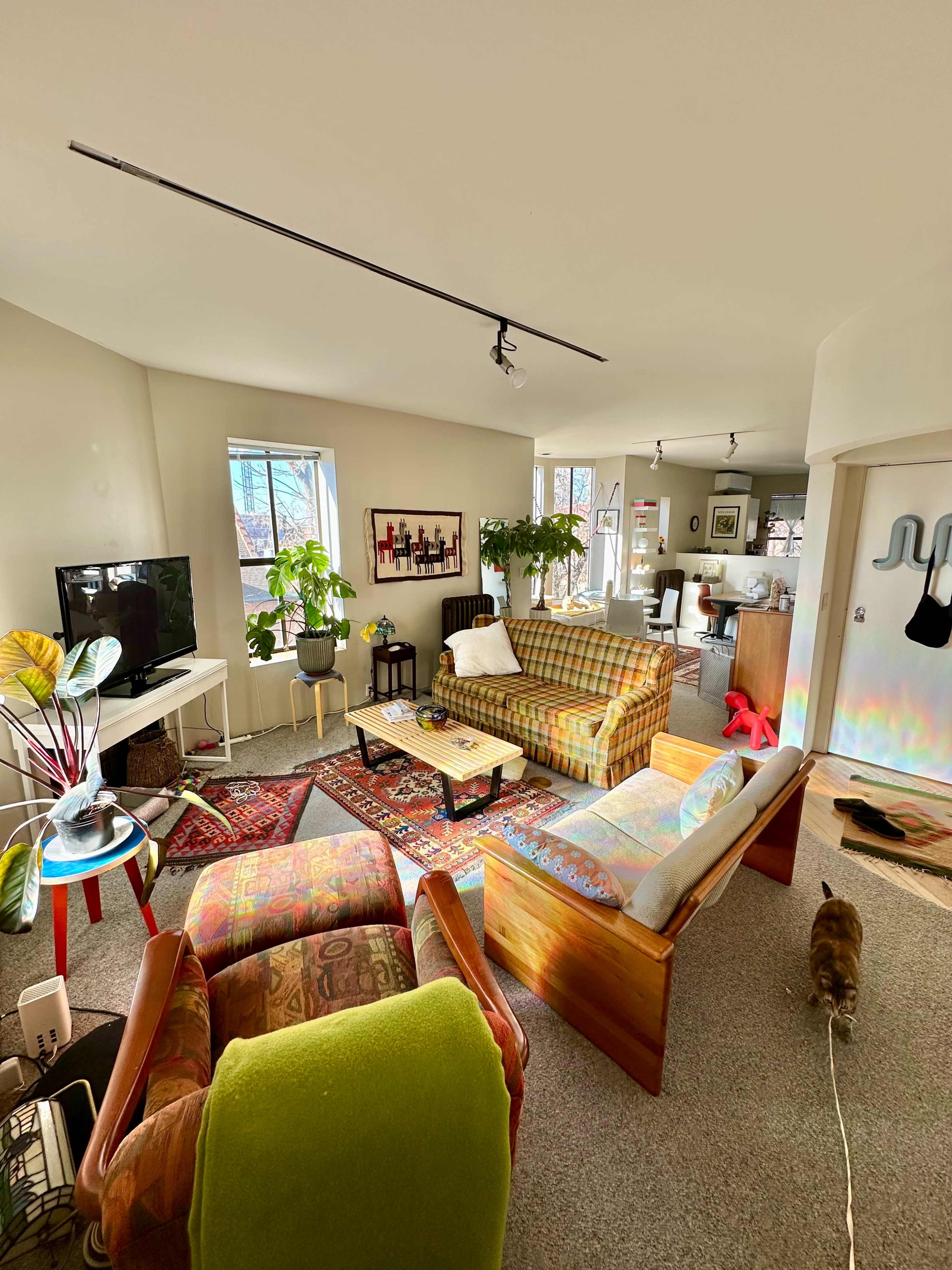 The image shows a living room with two couches, a television, a coffee table, various plants, and an open space leading to a kitchen area.