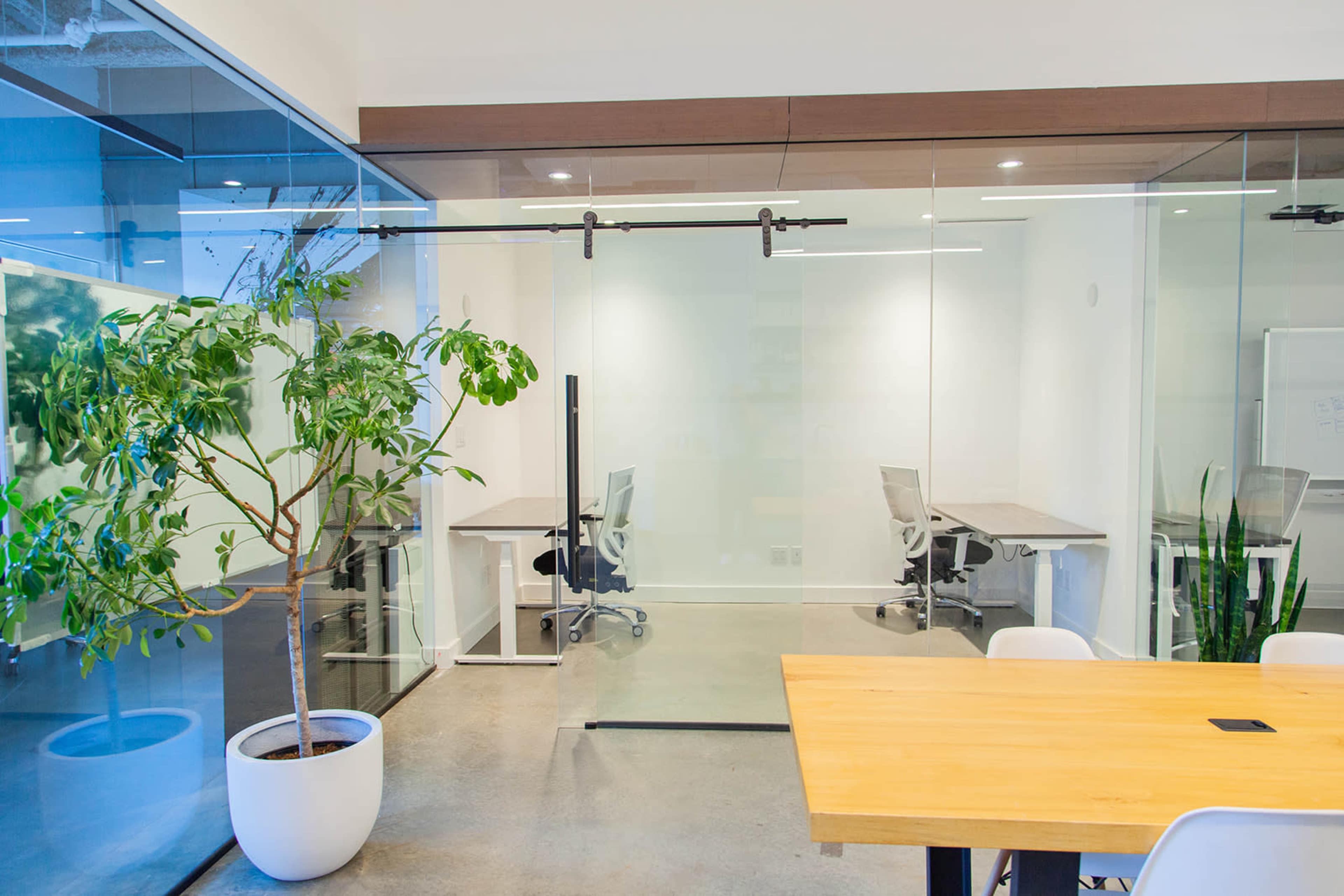 A modern office space features a glass wall, a sliding door, two workstations, and a potted plant.