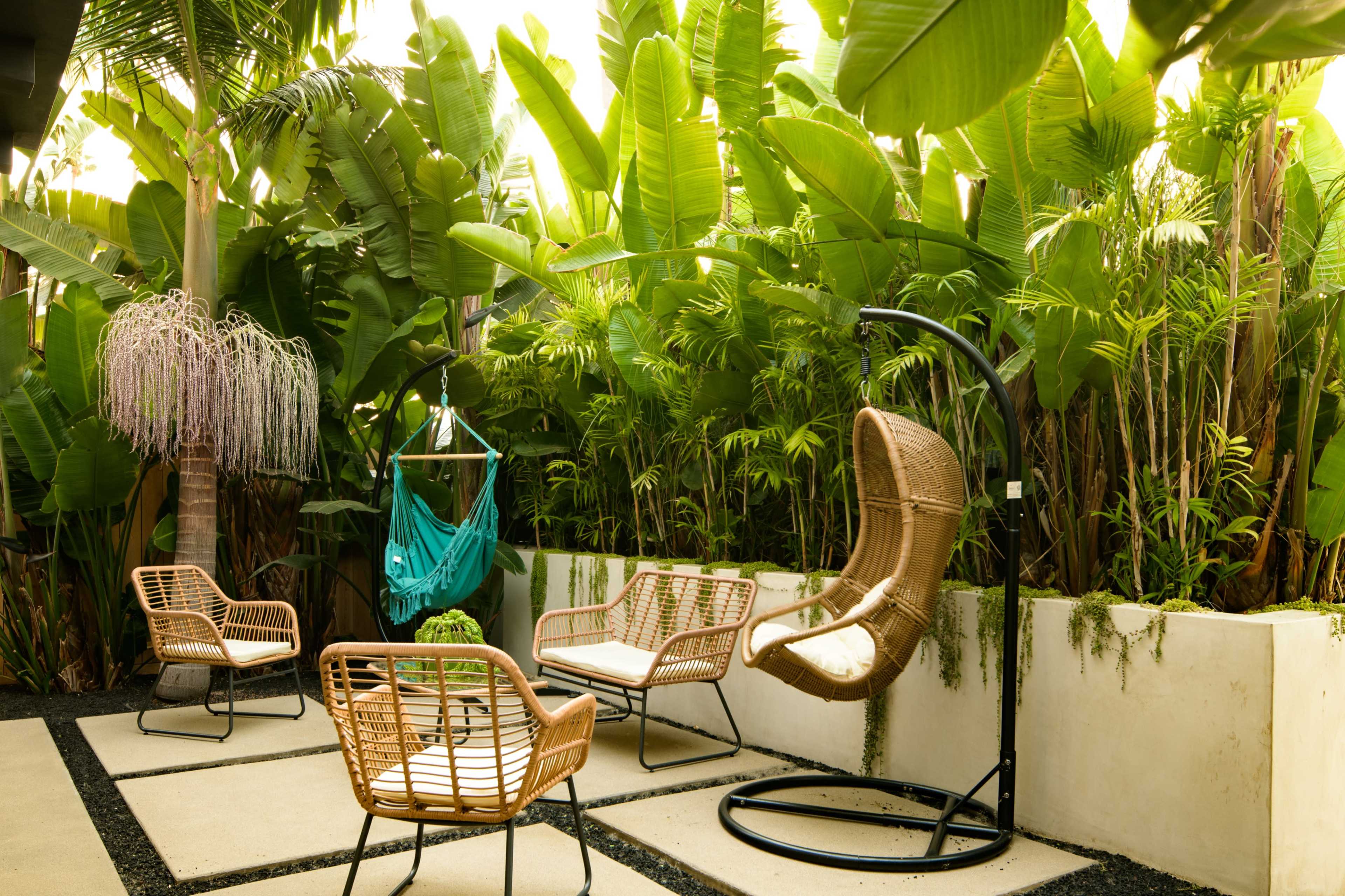 The image shows a tropical outdoor space with hanging and freestanding chairs surrounded by lush greenery.