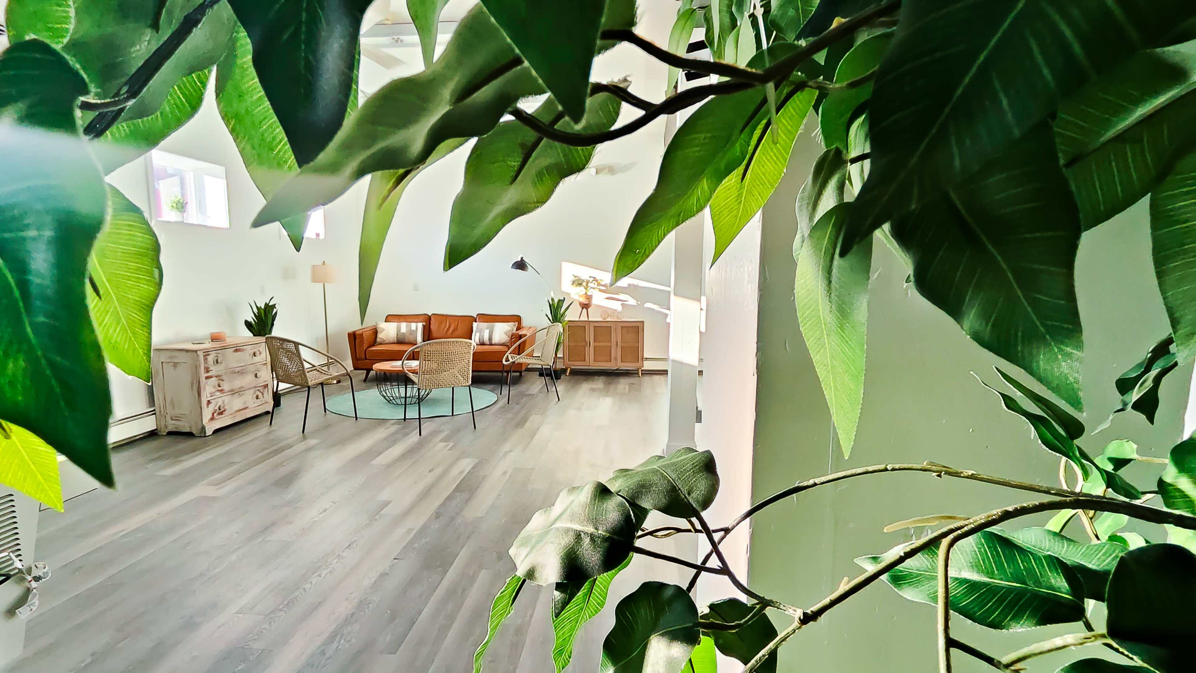 A bright, modern living space featuring a brown leather sofa, two wicker chairs, a wooden cabinet, and a green rug, framed by large leafy plants in the foreground.