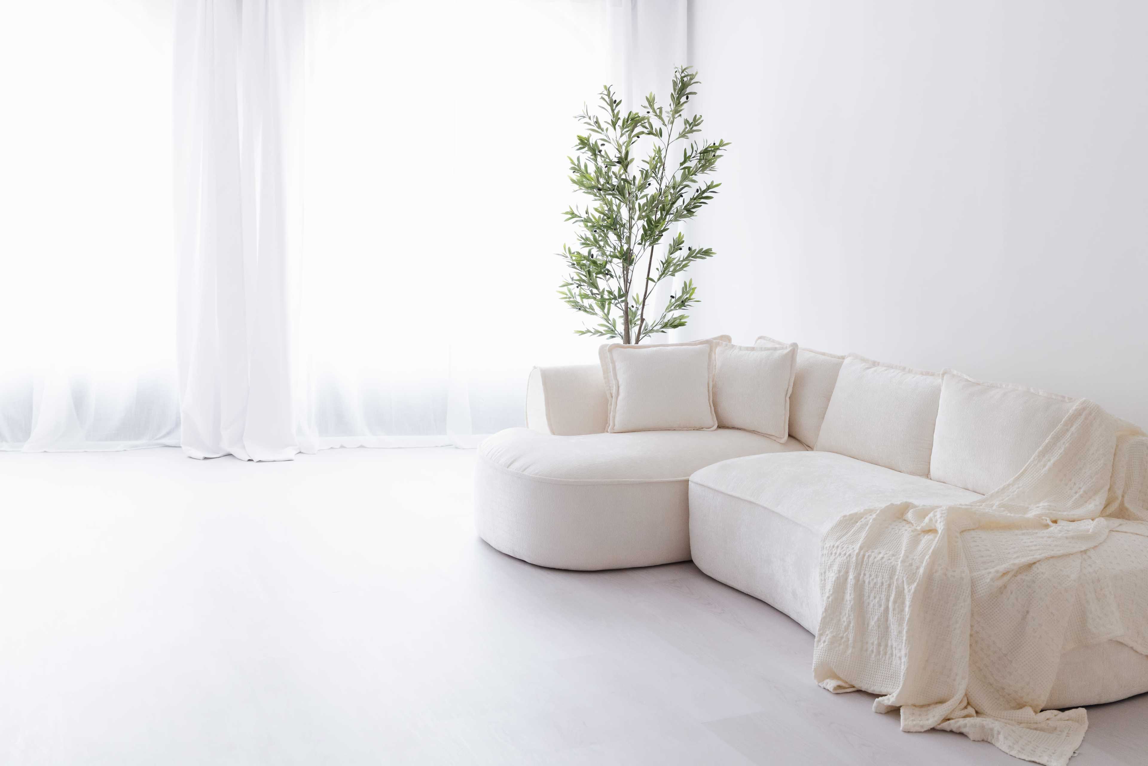 A minimalist living room features a cream-colored sectional sofa, a large decorative plant, and sheer white curtains allowing natural light to flood the space.