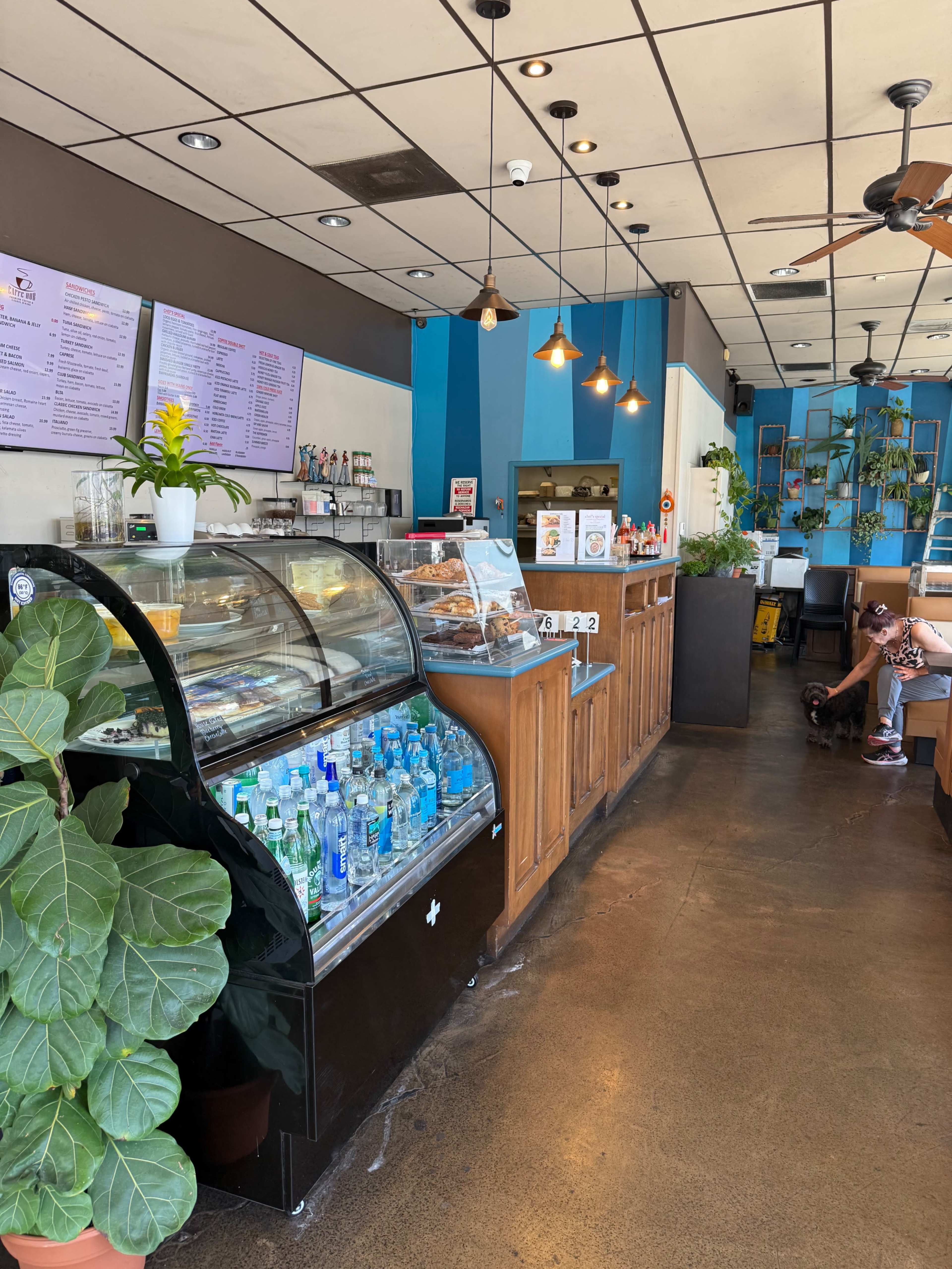 The image shows a modern café interior with a display case for food and drinks, a menu board, and a seating area with plants along the walls.