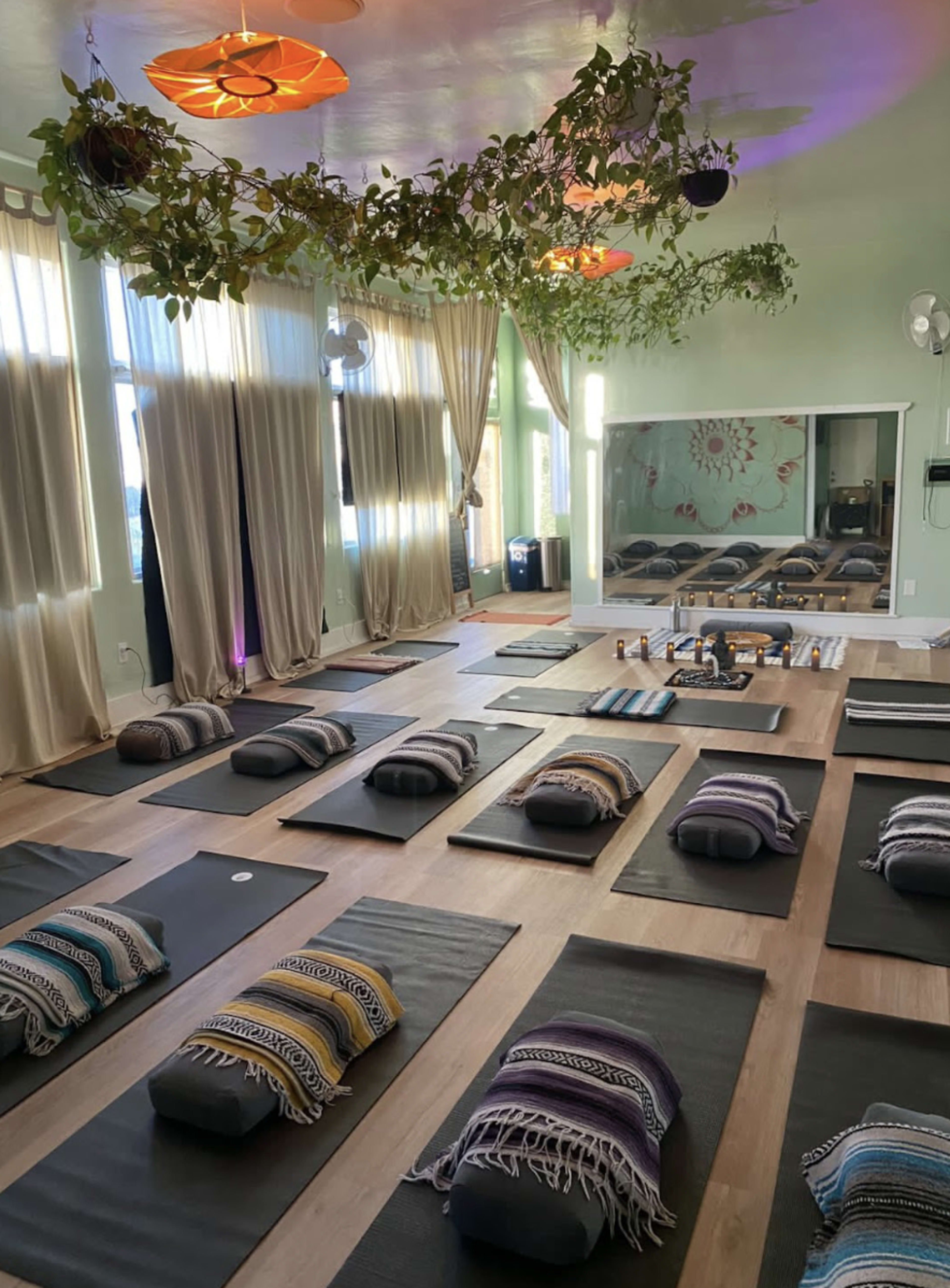 The image shows a light-filled yoga studio with rows of mats and cushions arranged neatly, surrounded by plants and draped curtains.