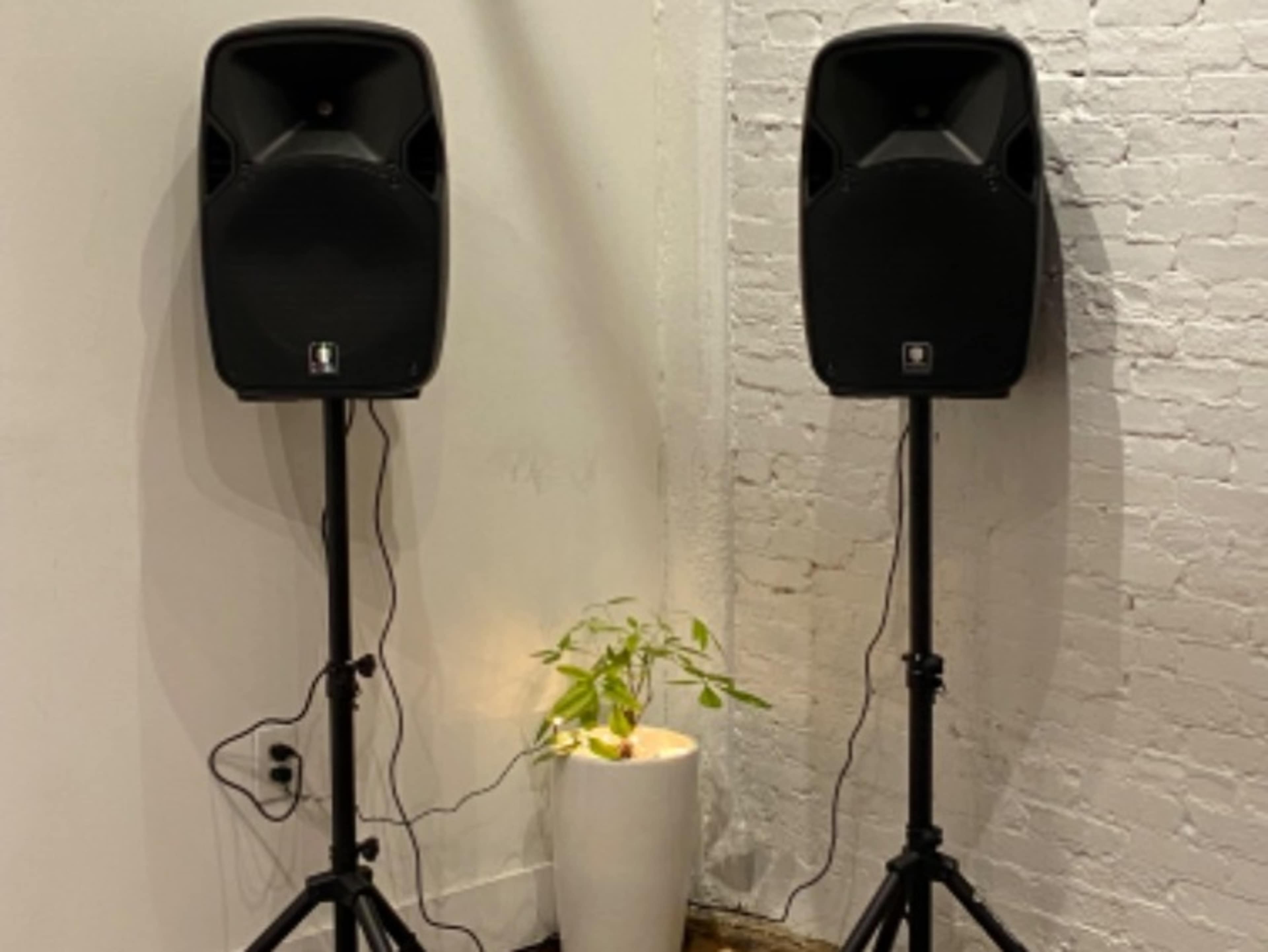 Speaker & Microphone Package