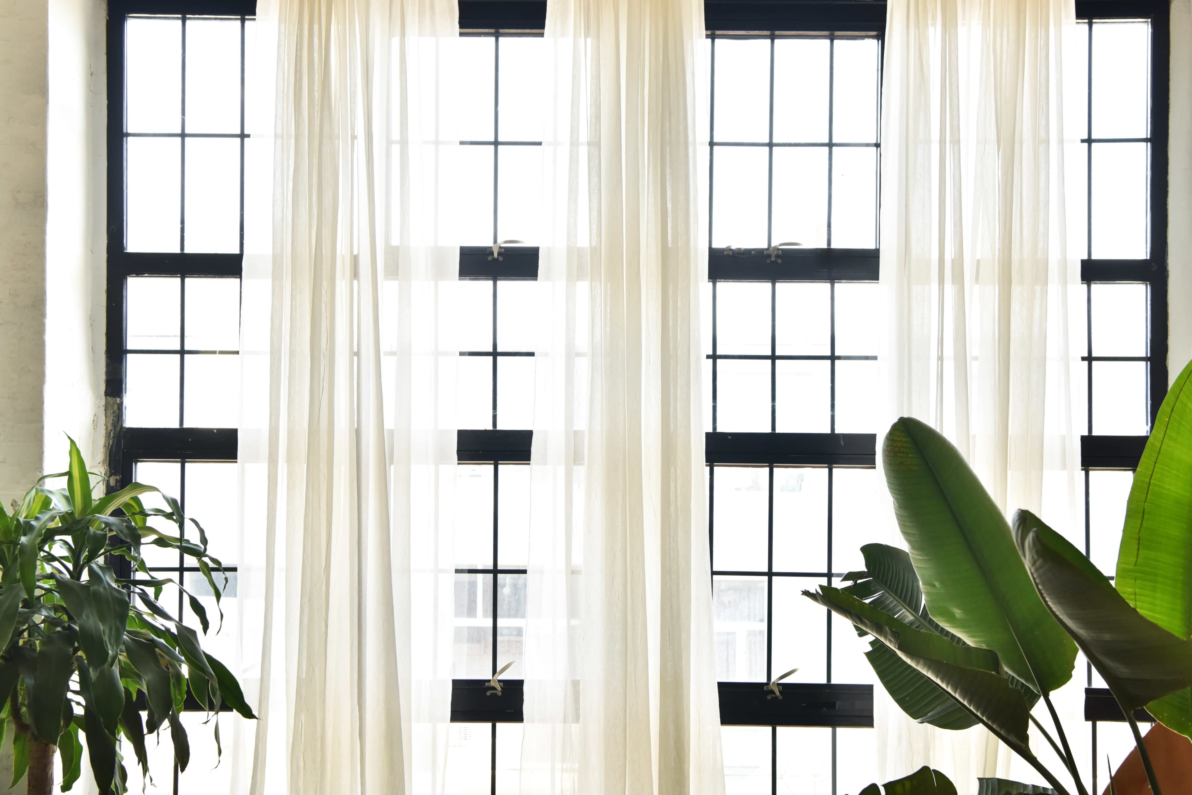 Large windows with sheer curtains, partially covering them, and potted plants in the foreground.