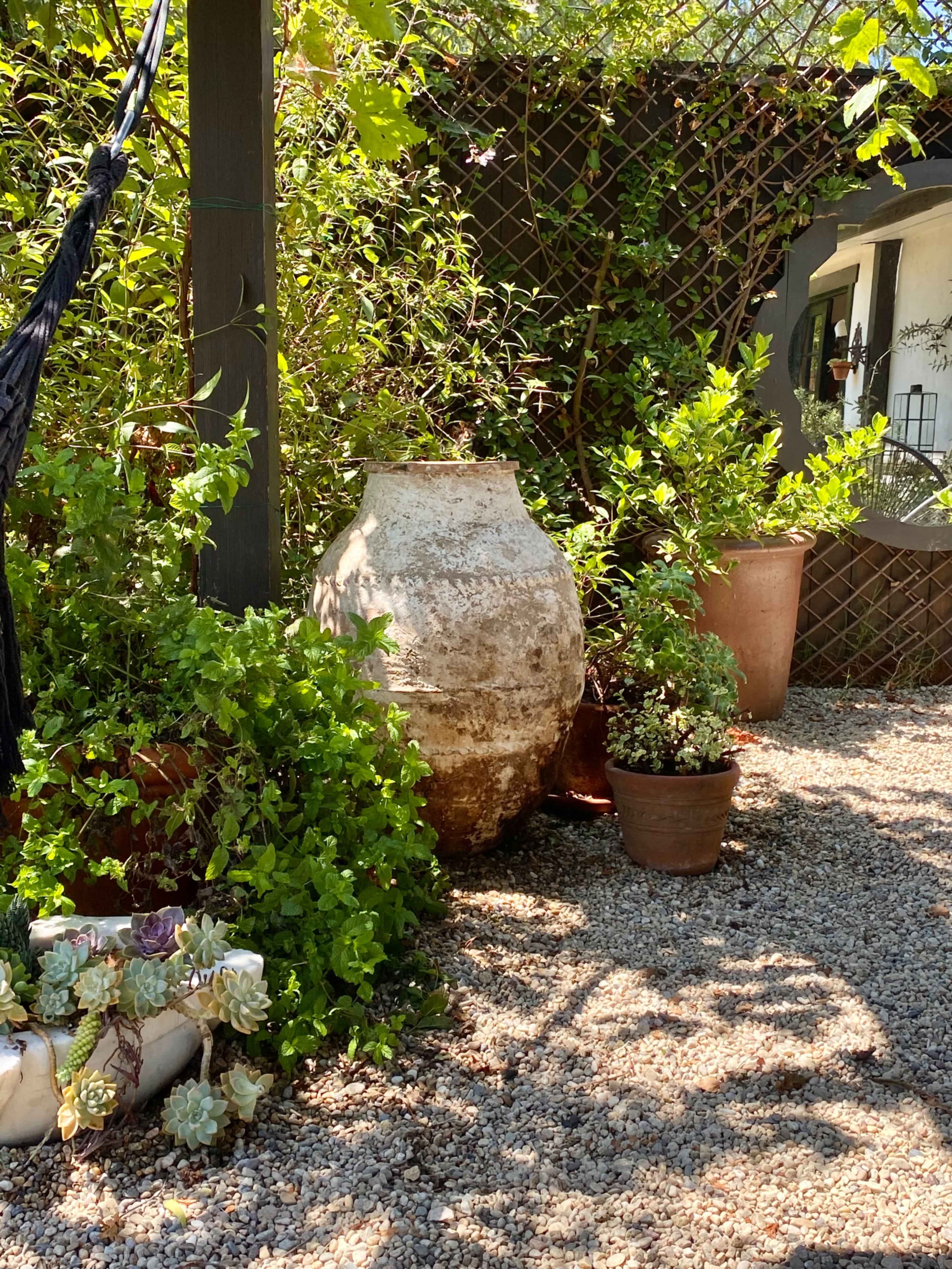 A weathered clay urn is surrounded by potted plants and green foliage in a garden setting.