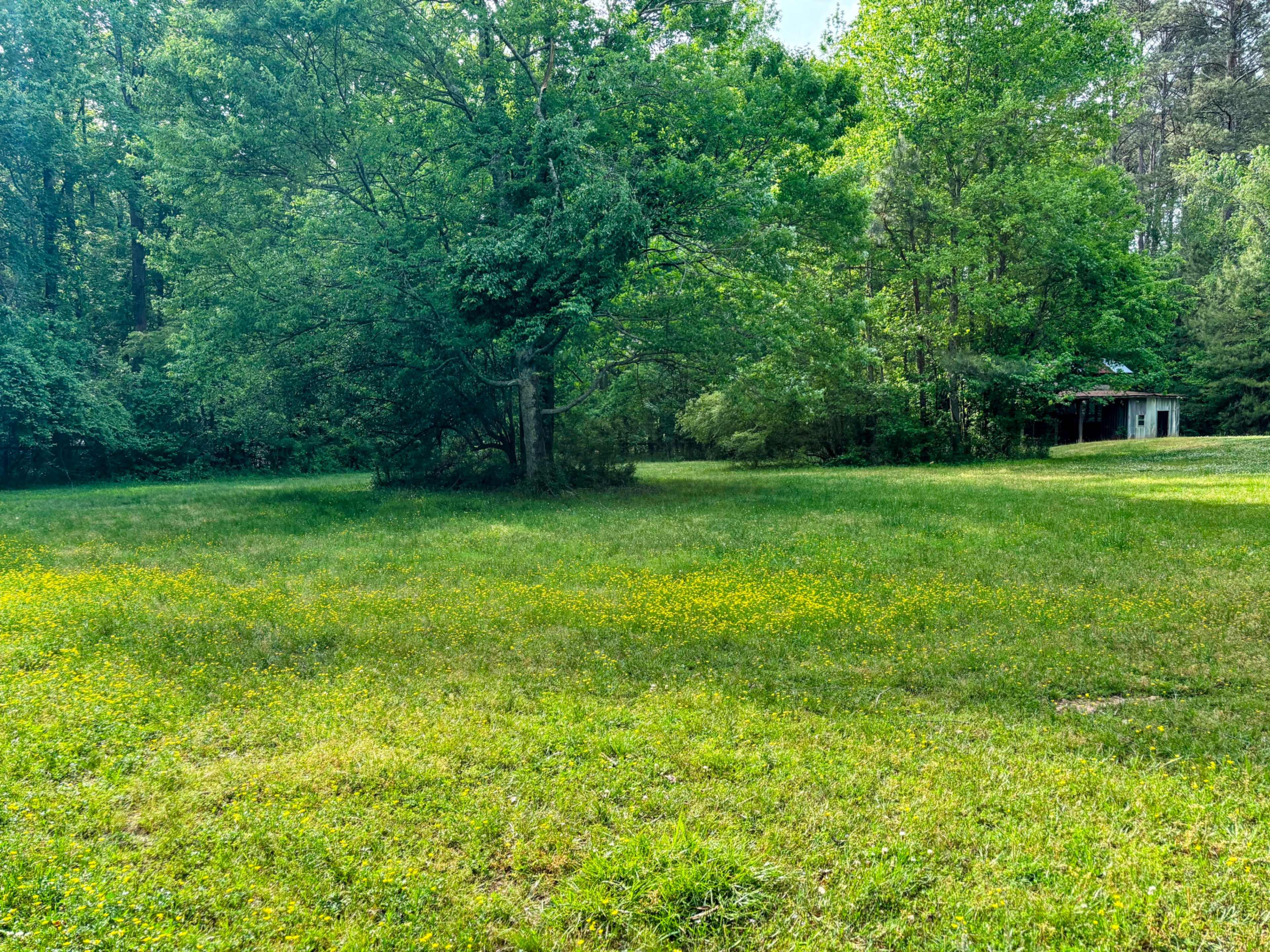 Private Large Field w/ Barn Surrounded by Trees for Photoshoot & Events Image in , snellville, GA