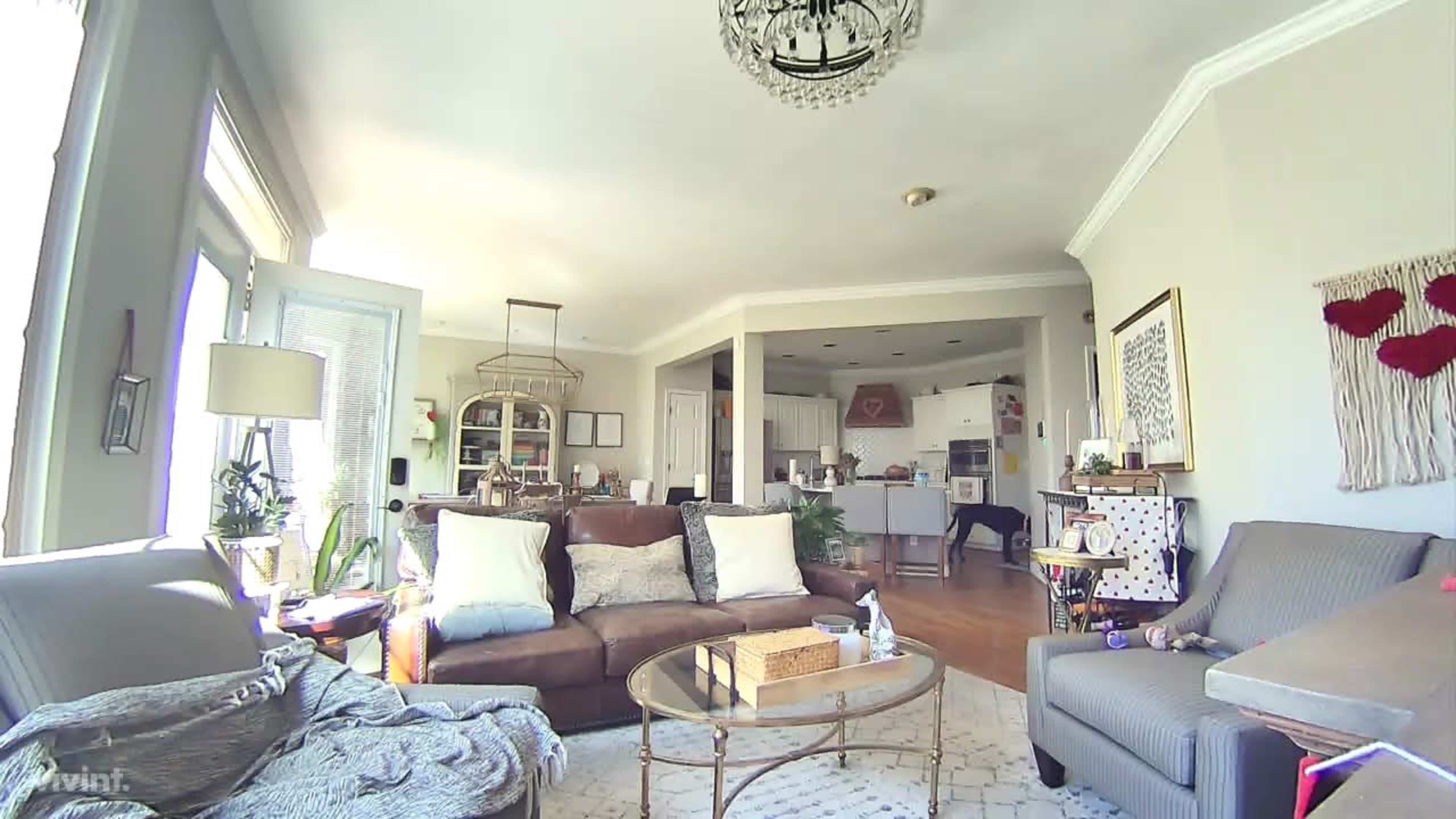 Suburban Townhome with Modern French Country Flare Image in Fredericksburg, Brentwood, TN