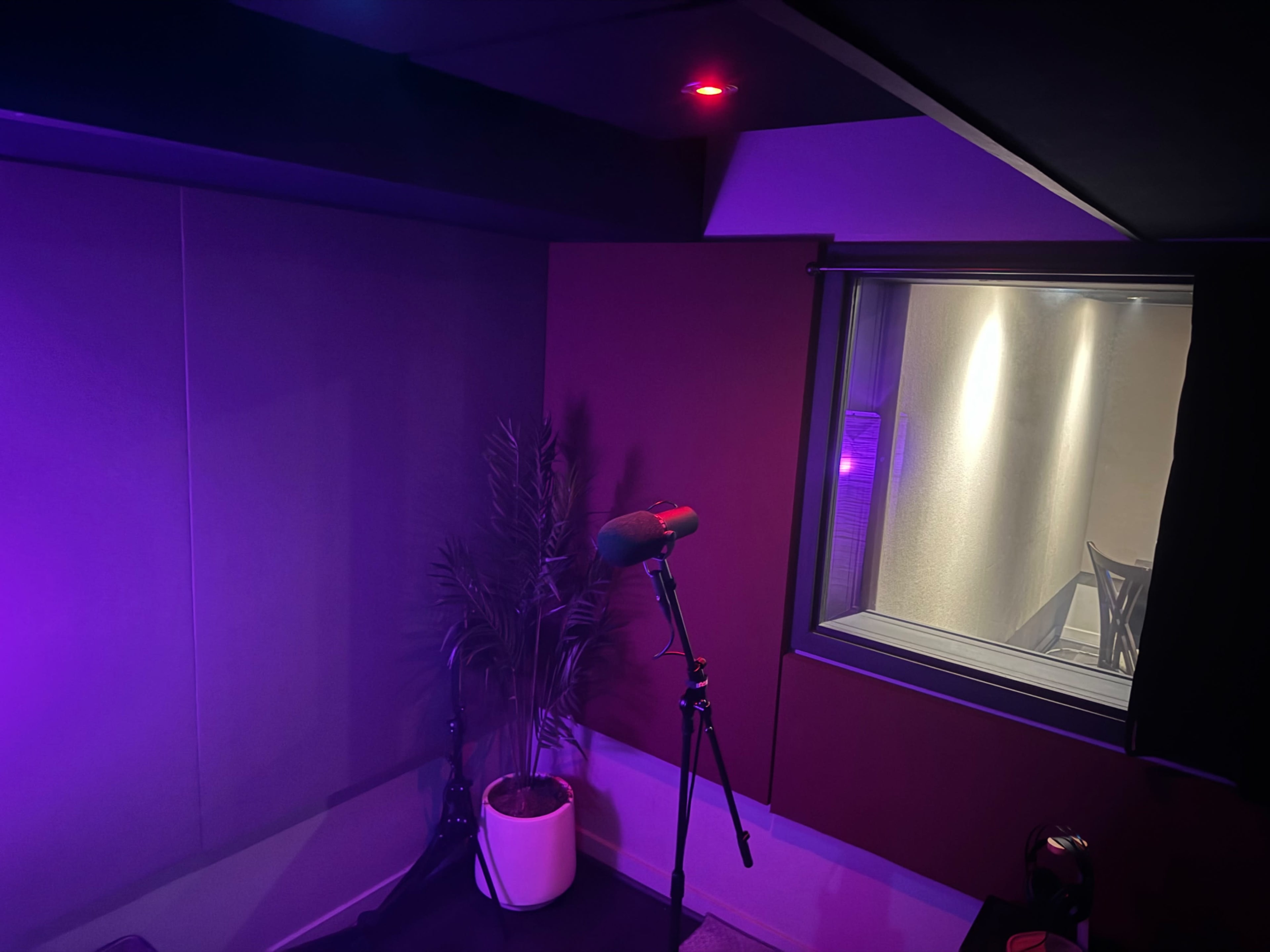 The image shows a small soundproof recording studio with a microphone on a stand, a potted plant, and a window overlooking another room, illuminated by purple and red lights.