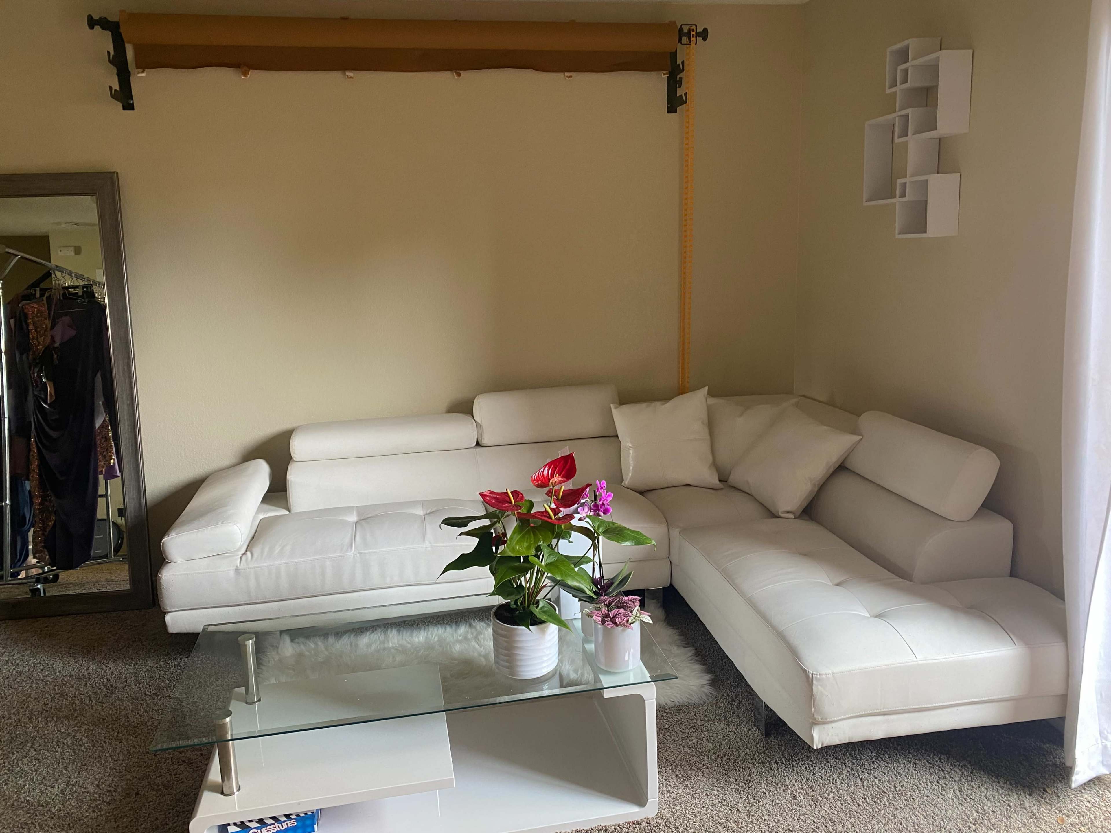A modern living room featuring a white sectional sofa, a glass coffee table, and potted plants on a carpeted floor.
