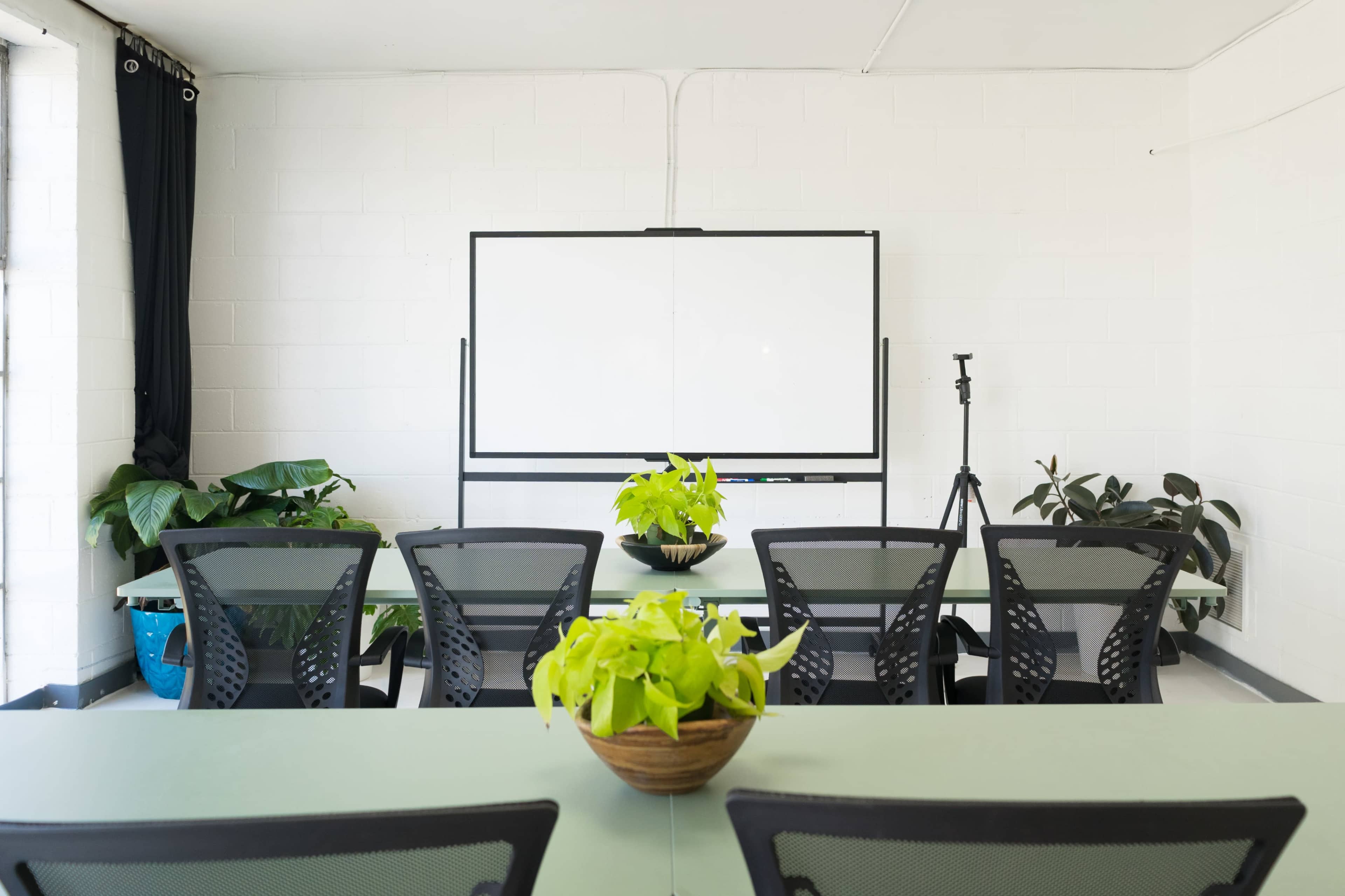 Versatile Plant Studio for Team Meetings, Classes and Workshops Image in Lakewood Heights, Atlanta, GA