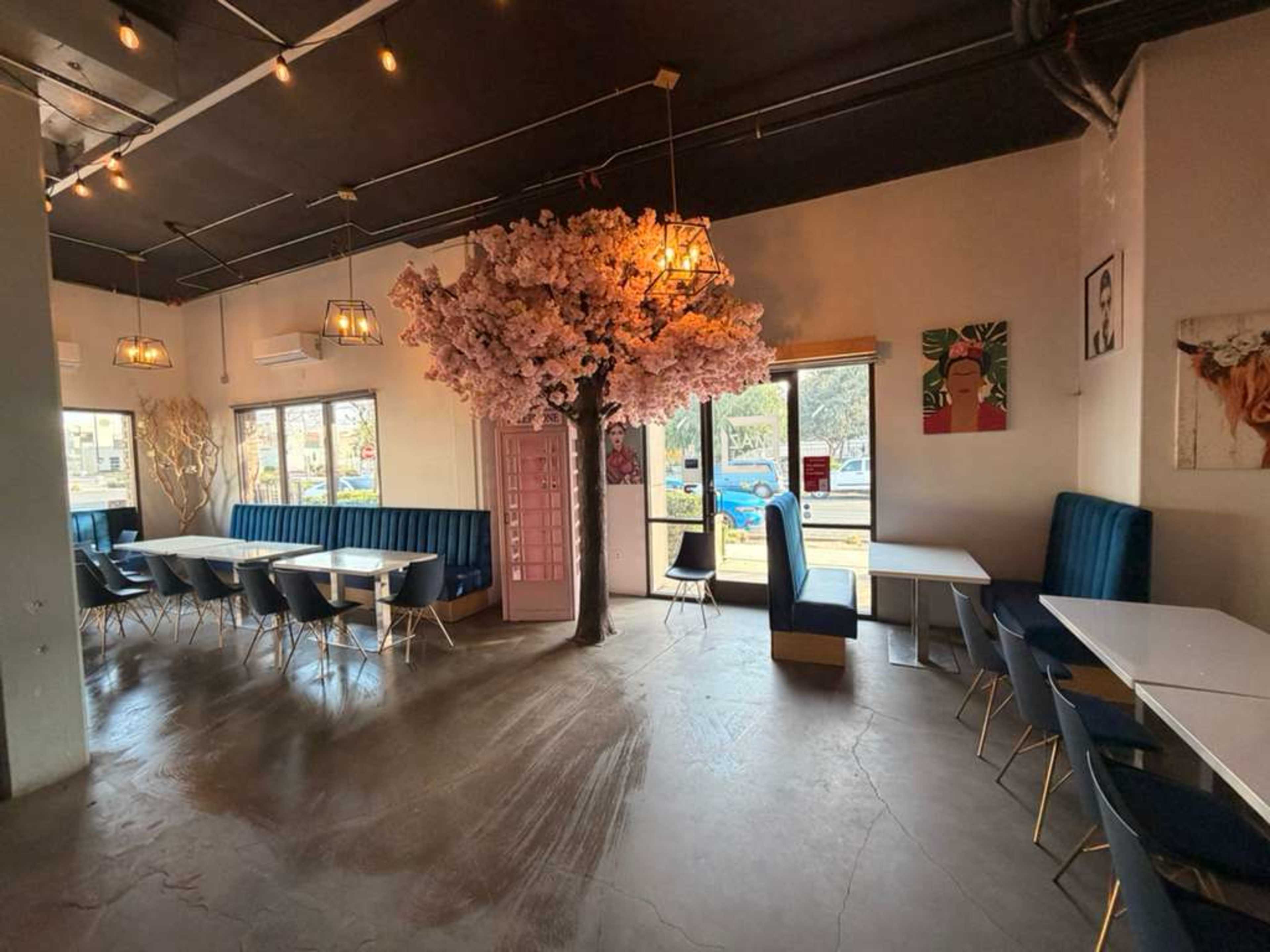 The image shows a modern café interior featuring a cherry blossom tree, blue seating, and abstract art on the walls.