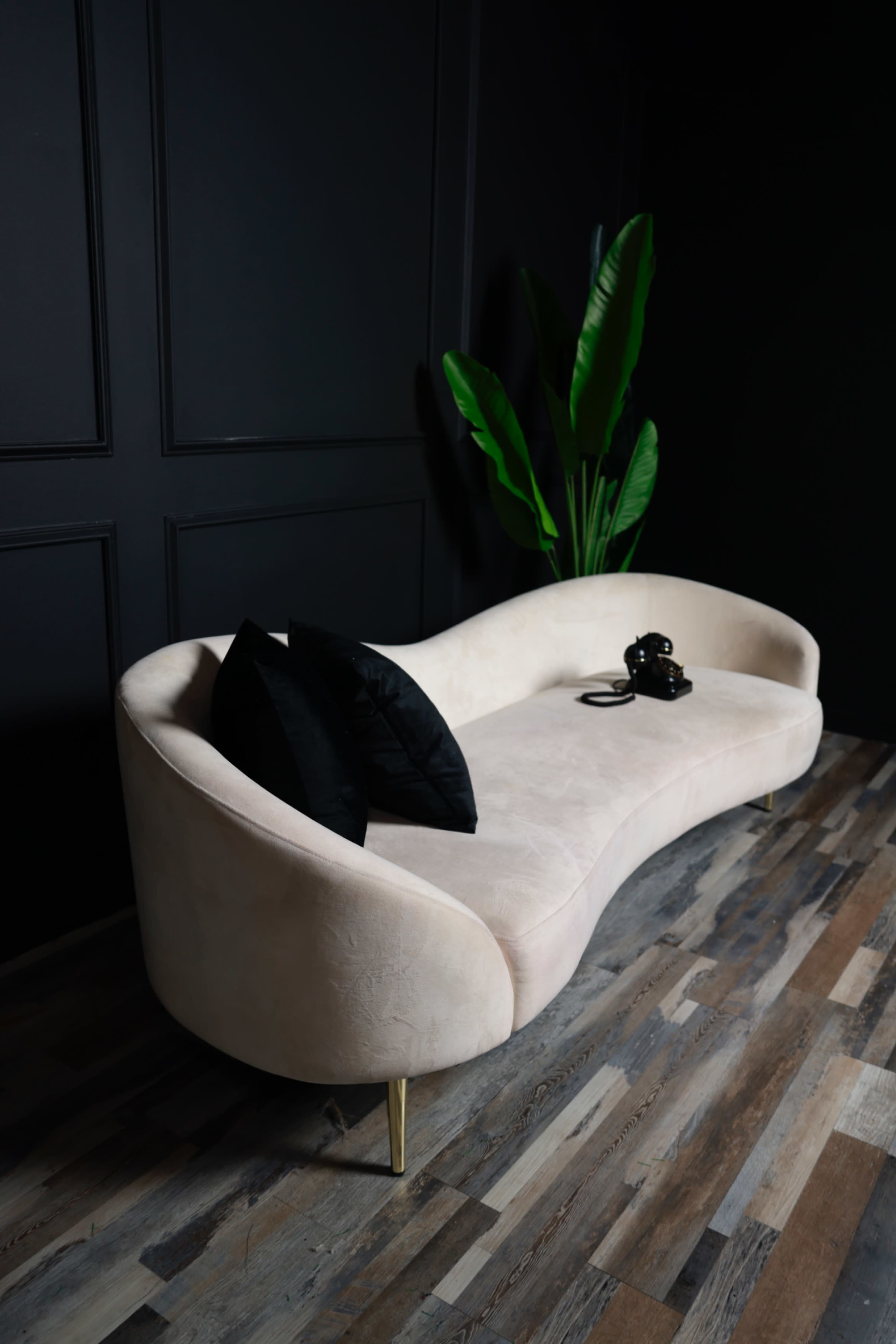 A curved pink sofa with black cushions sits on a wooden floor against a dark wall, accompanied by a vintage telephone and a large green plant.