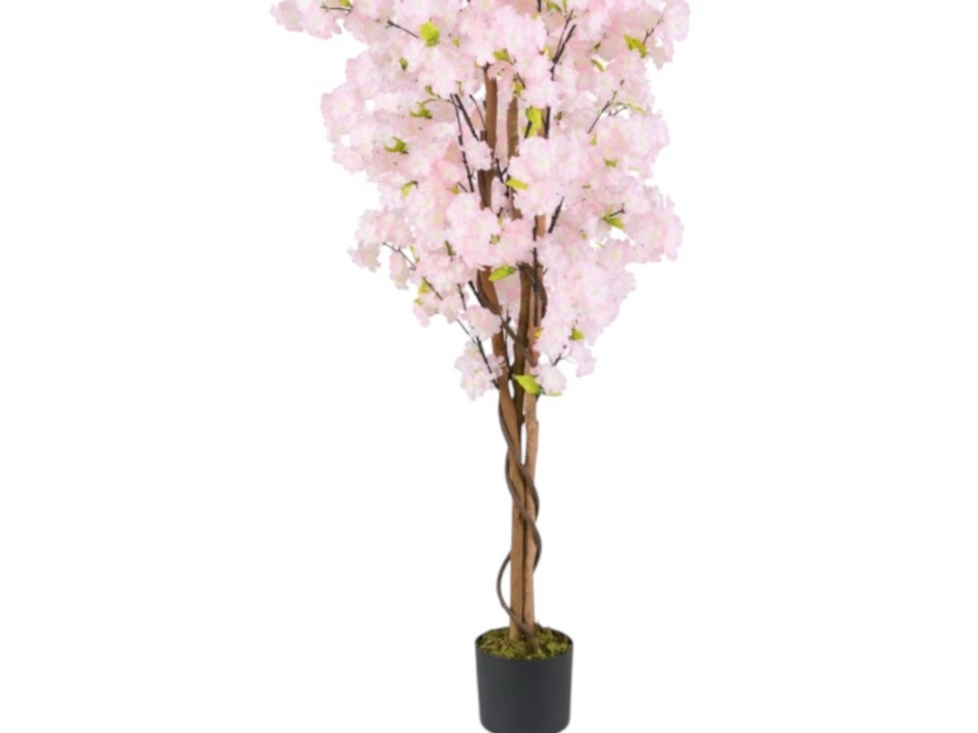 4ft Cherry Blossom Tree