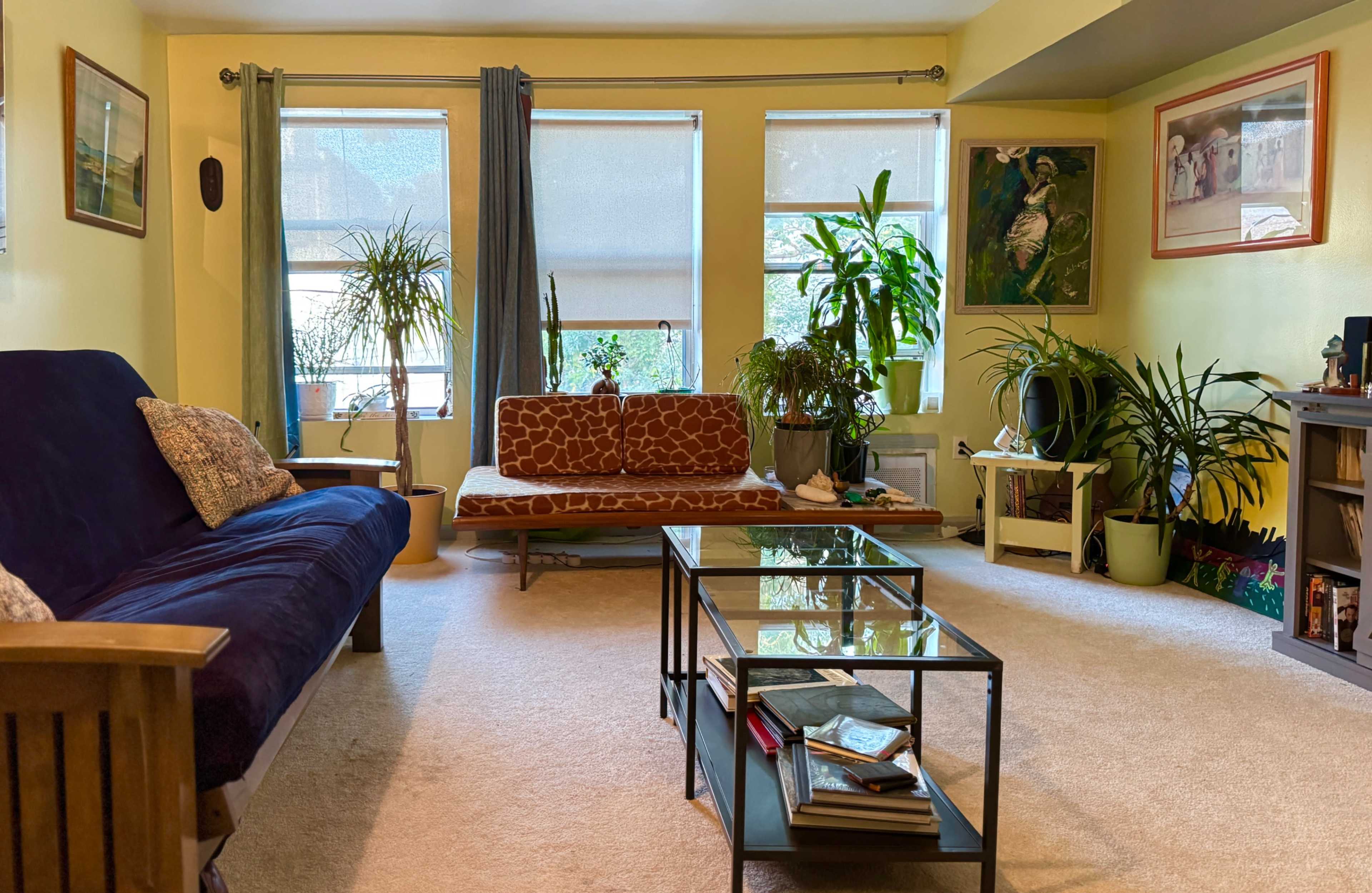 The image shows a living room with a blue futon, a brown sofa, a coffee table, and several potted plants in front of large windows.