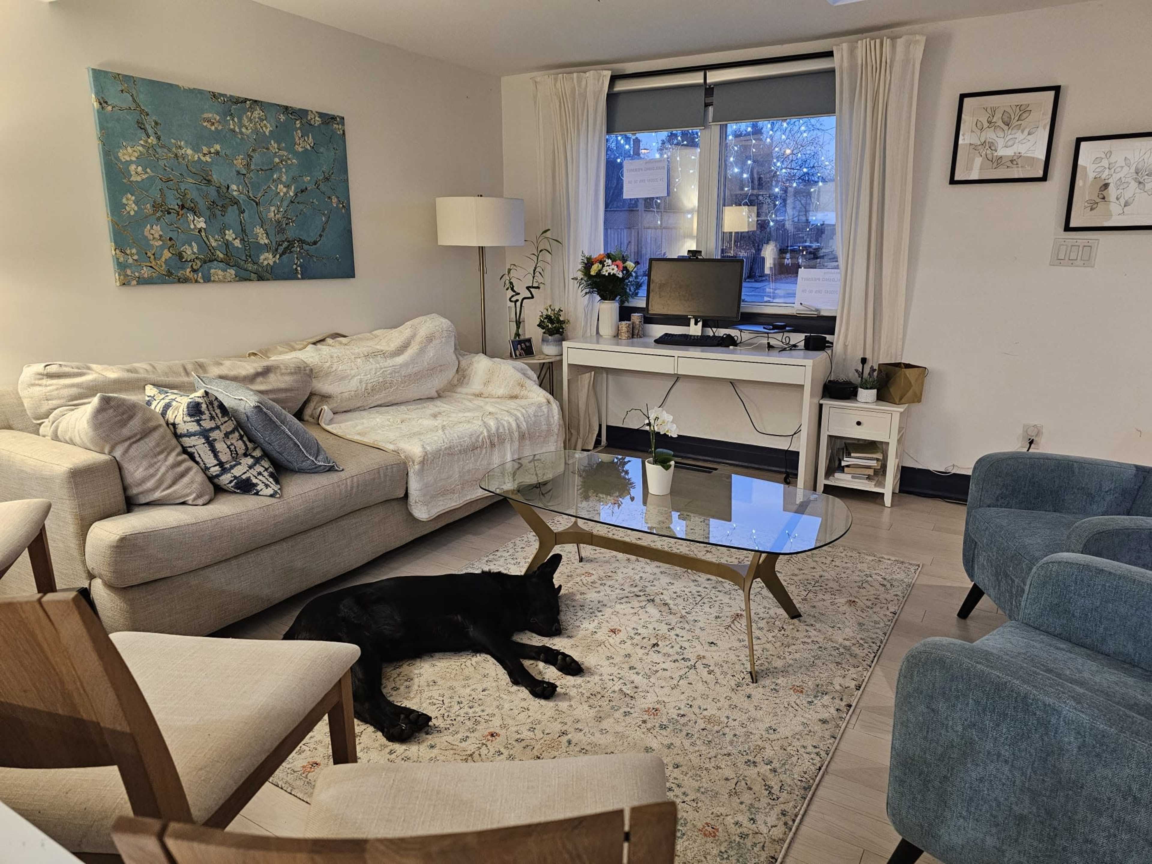 The living room features a couch with a throw blanket, a glass coffee table, a television on a stand, a rug, and a sleeping black dog on the floor.