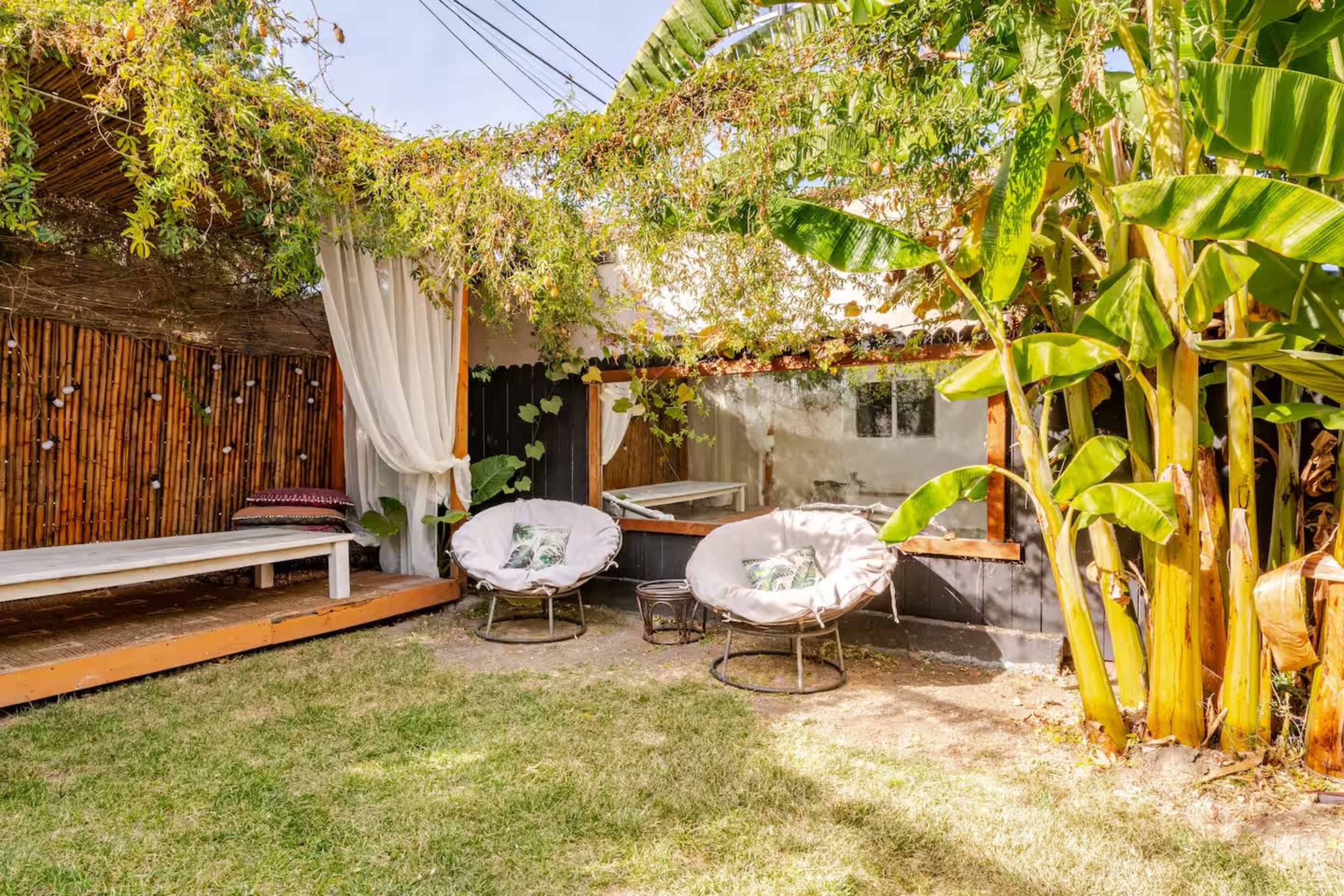 Tropical Backyard Garden & Colorful Courtyard - in the Heart of LA Image in Hyde Park, Los Angeles, CA