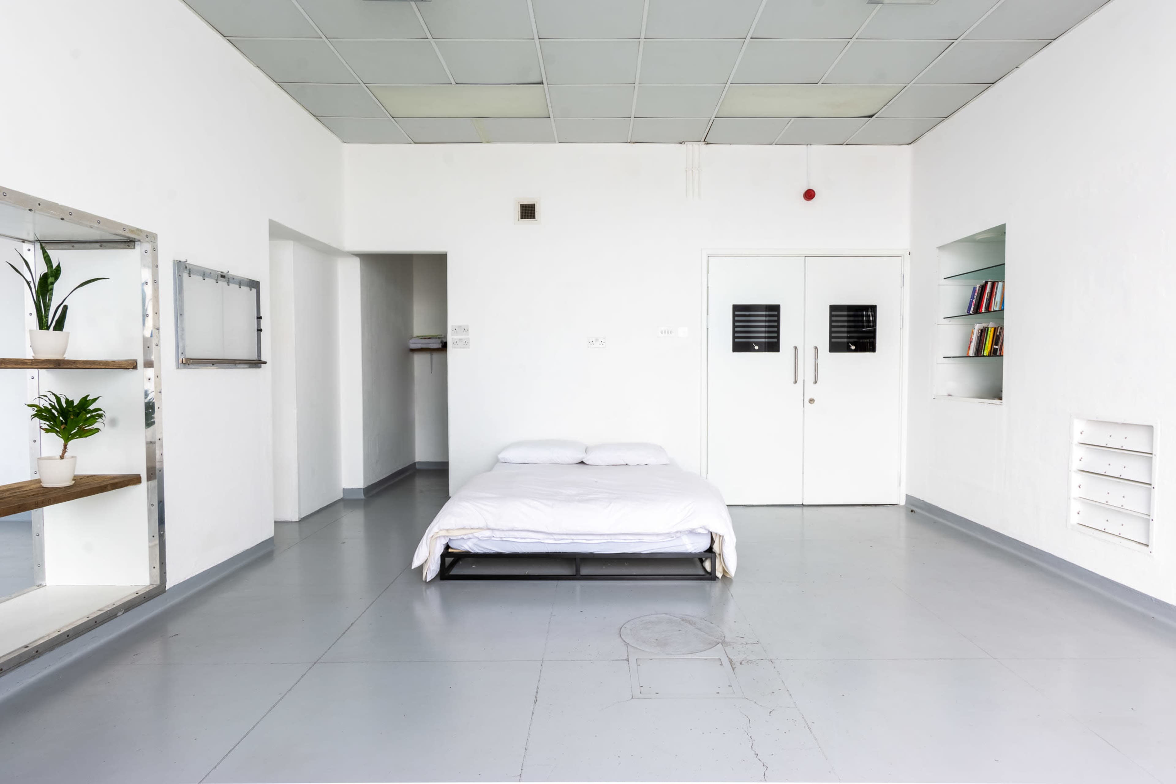 A minimalistic bedroom featuring a bed, white walls, and shelves with plants and books.