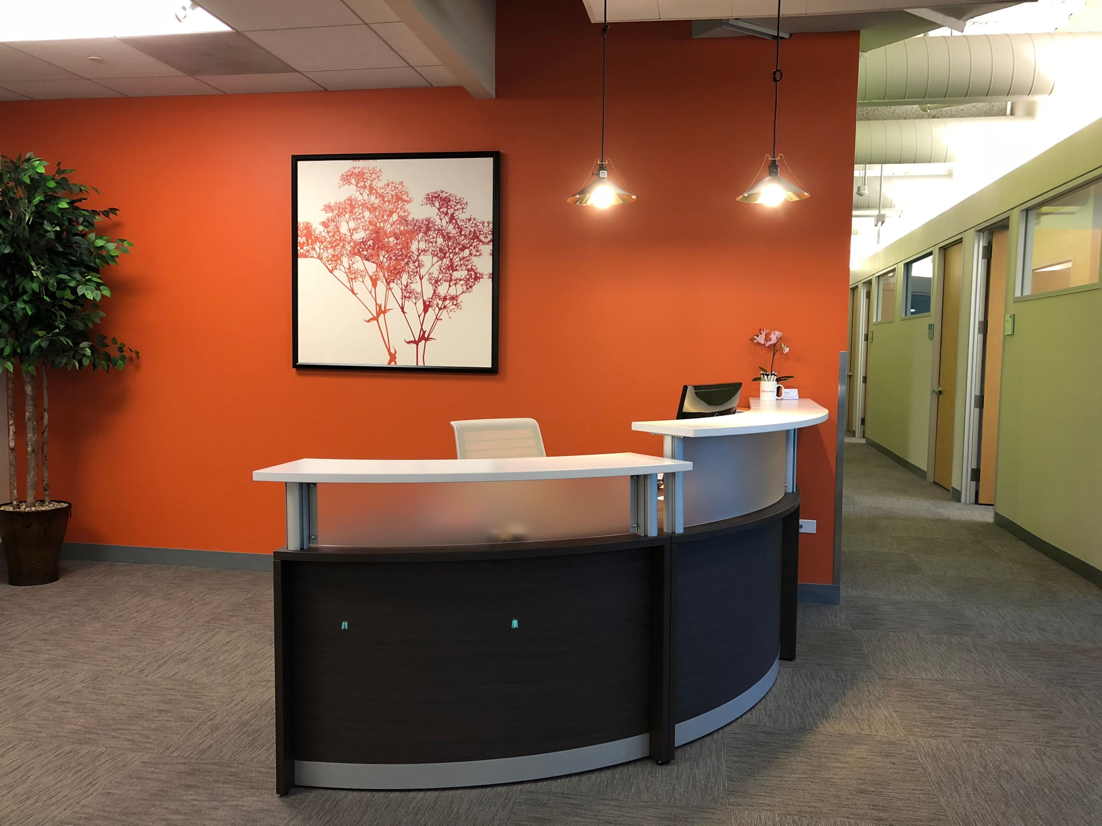 A modern reception area with a curved desk, an orange wall featuring a tree artwork, and potted plants in the corner.