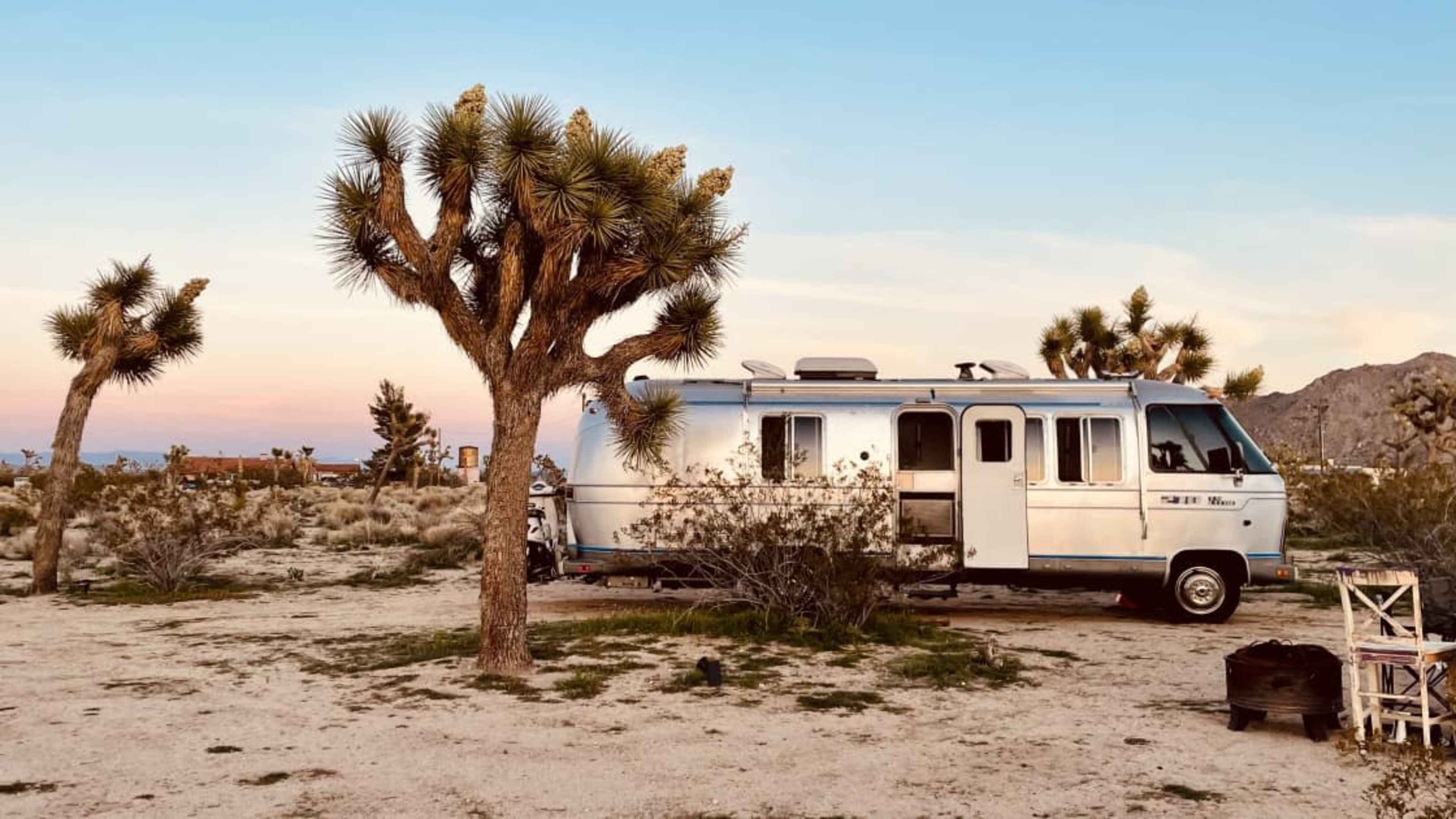 A silver Airstream trailer is parked near a Joshua Tree in a desert landscape during sunset.