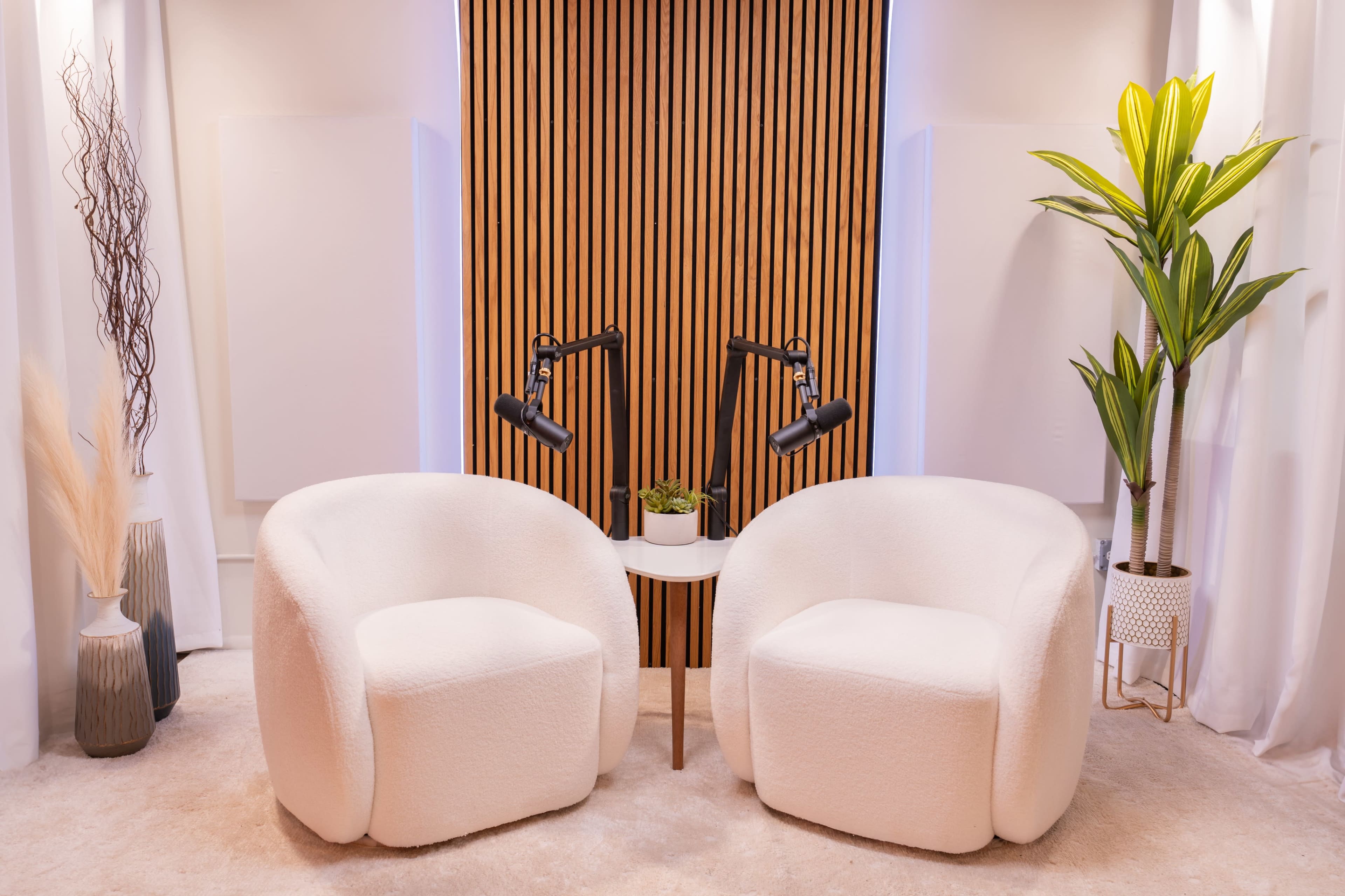 Beautiful Video Podcasting Studio in Lakeview Image in Lake View, Chicago, IL