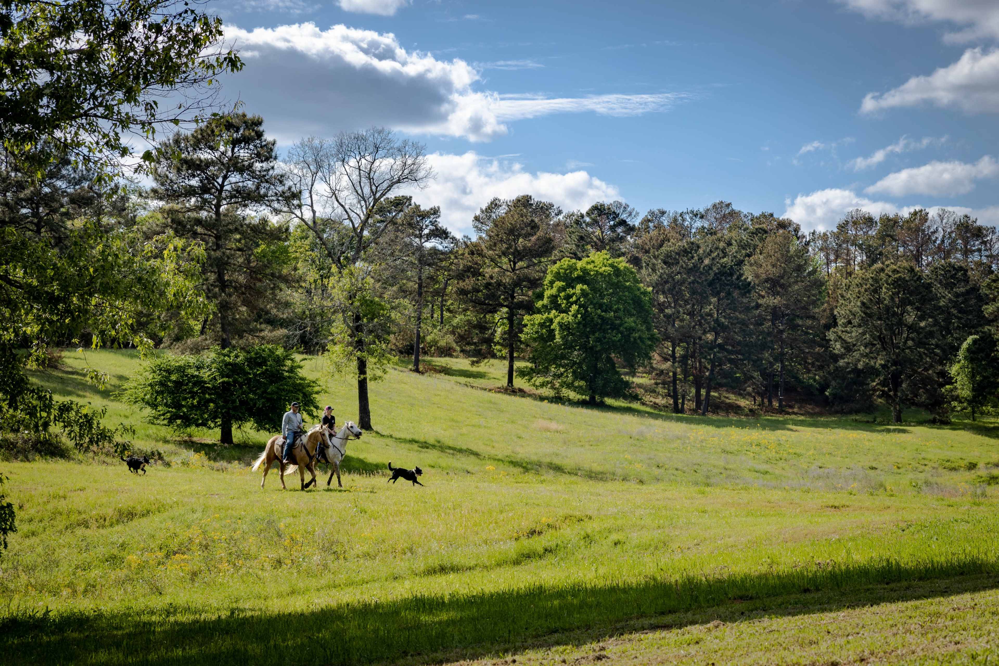 Two riders on horseback traverse a grassy field accompanied by a dog, surrounded by trees under a partly cloudy sky.