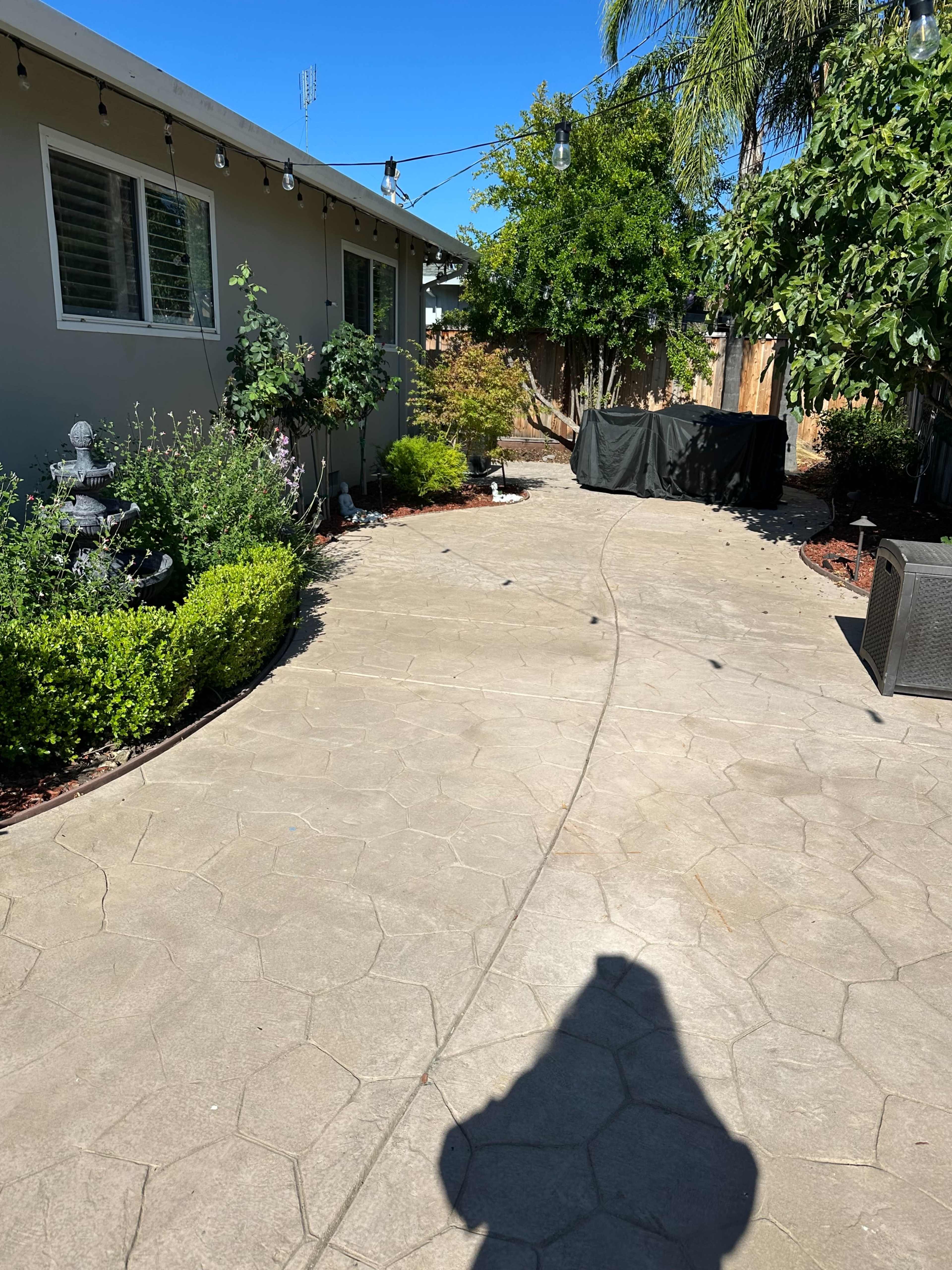 The image shows a backyard pathway made of patterned concrete, bordered by various plants and trees, with a black barbecue grill covered in the distance.