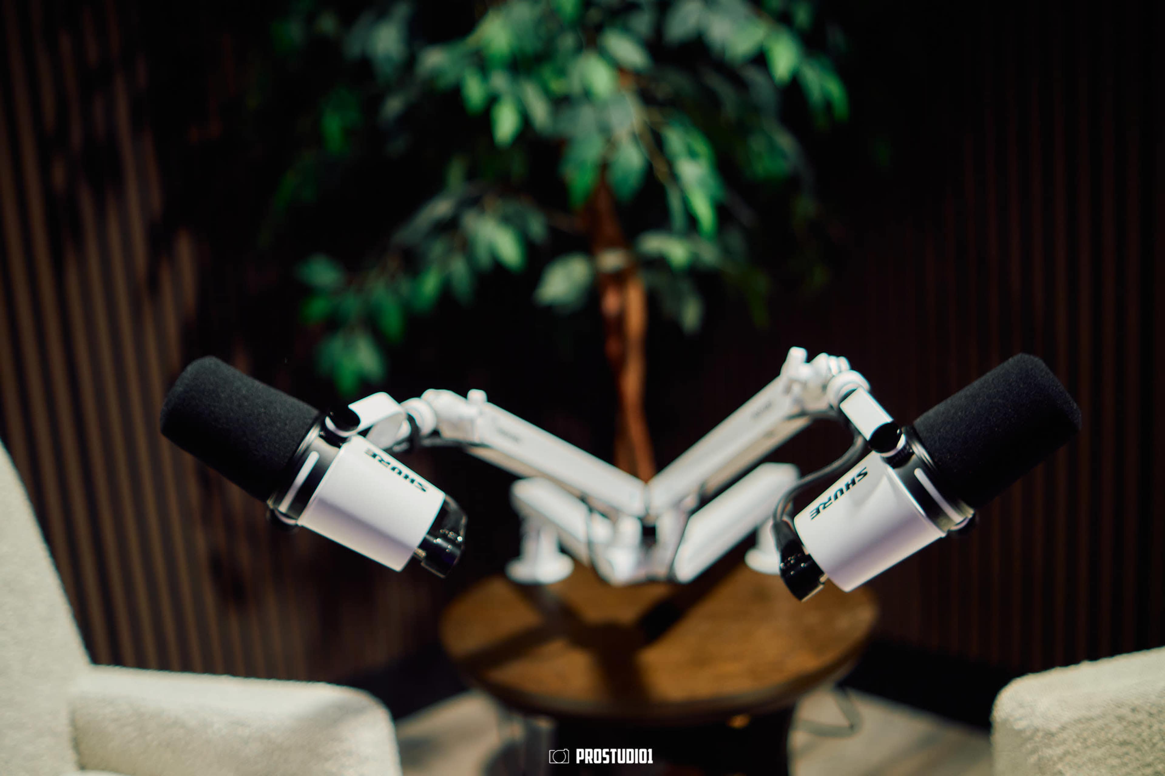 Podcast & Photo Studio with Cinematic Vibes in Hollywood, FL Image in Royal Poinciana, Hollywood, FL