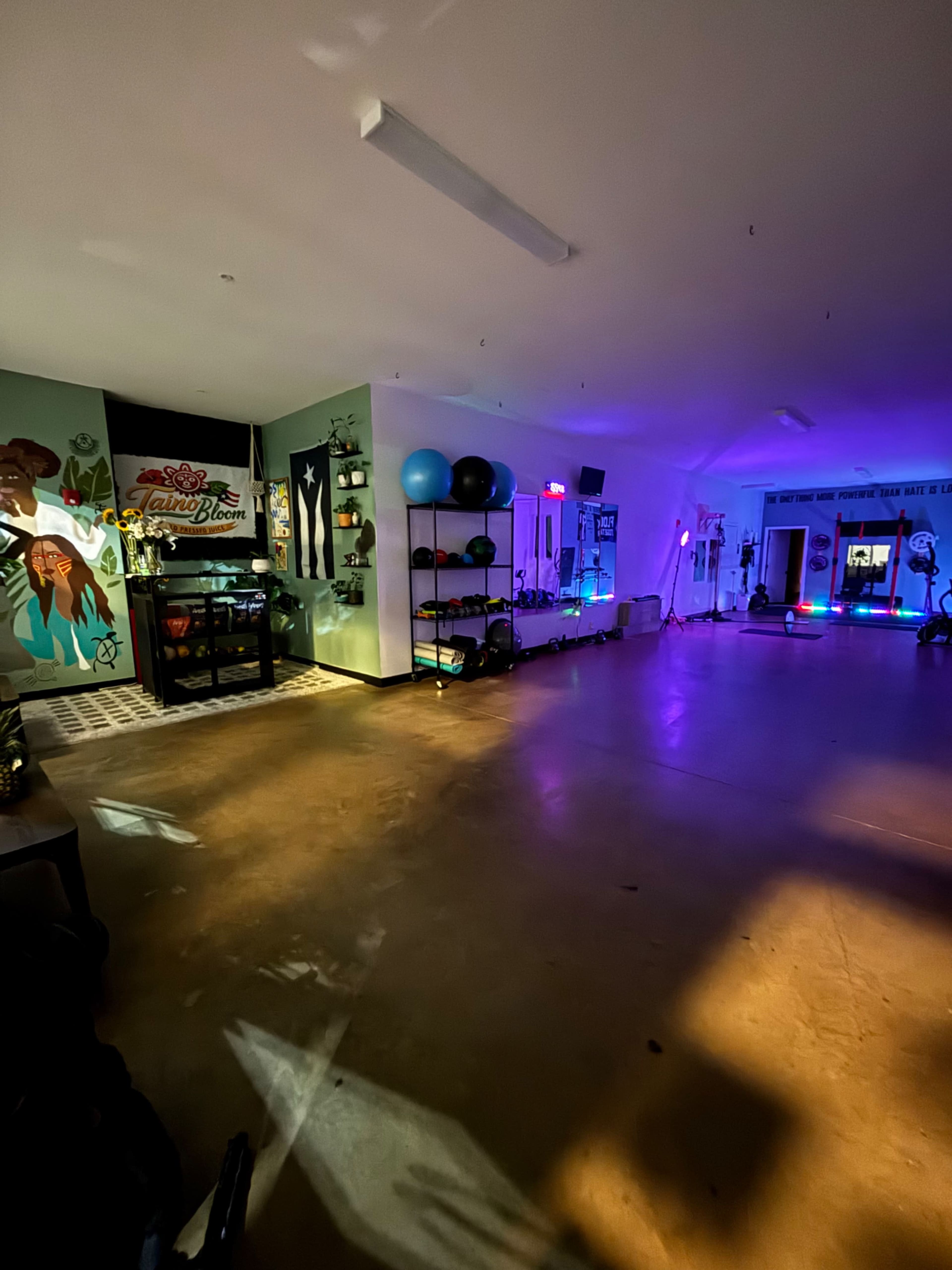 The image shows a spacious room with wooden flooring, illuminated by various colored lights, and featuring exercise equipment along the walls.