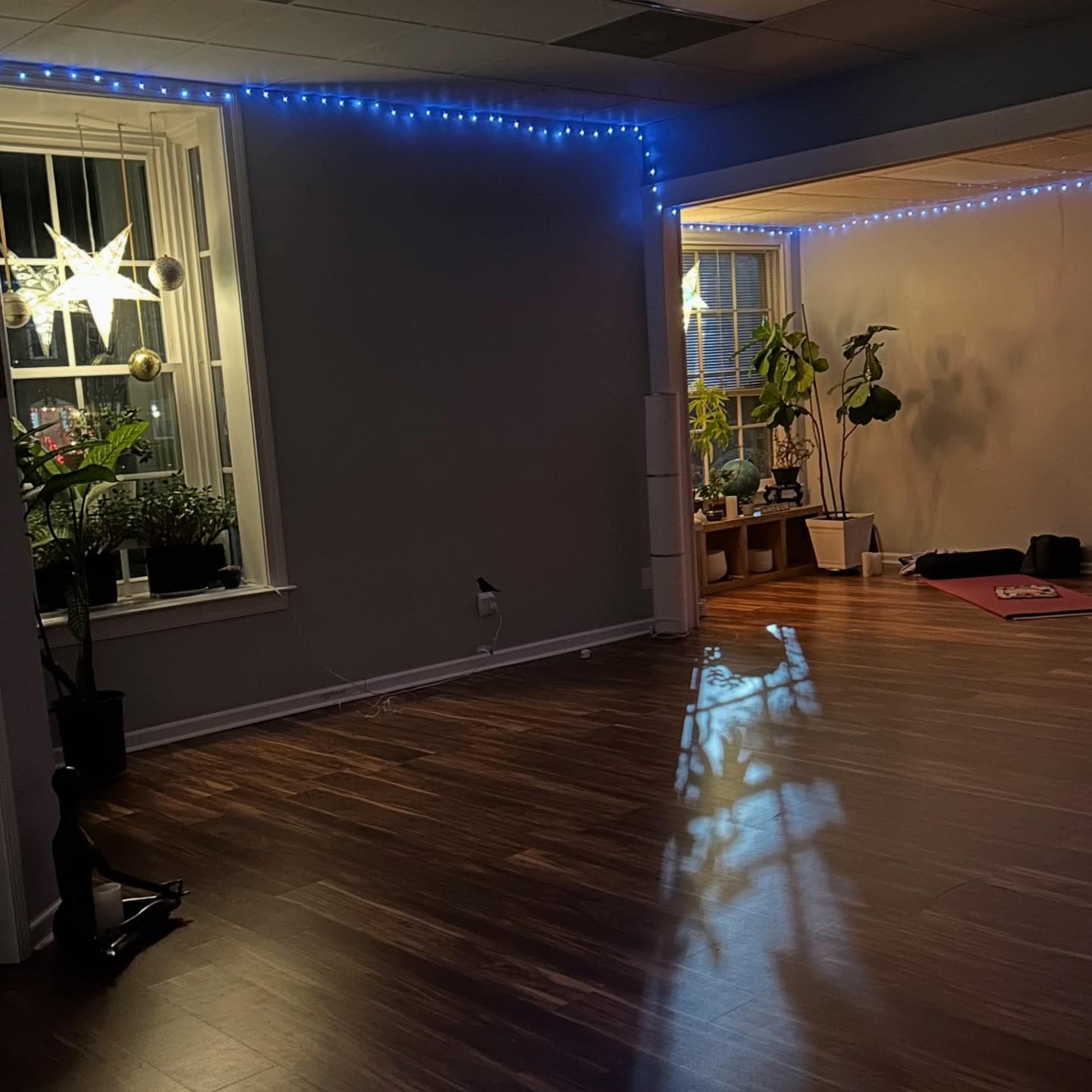 Yoga Studio with Treatment Room Space Image in Virginia Beach, Virginia Beach, VA