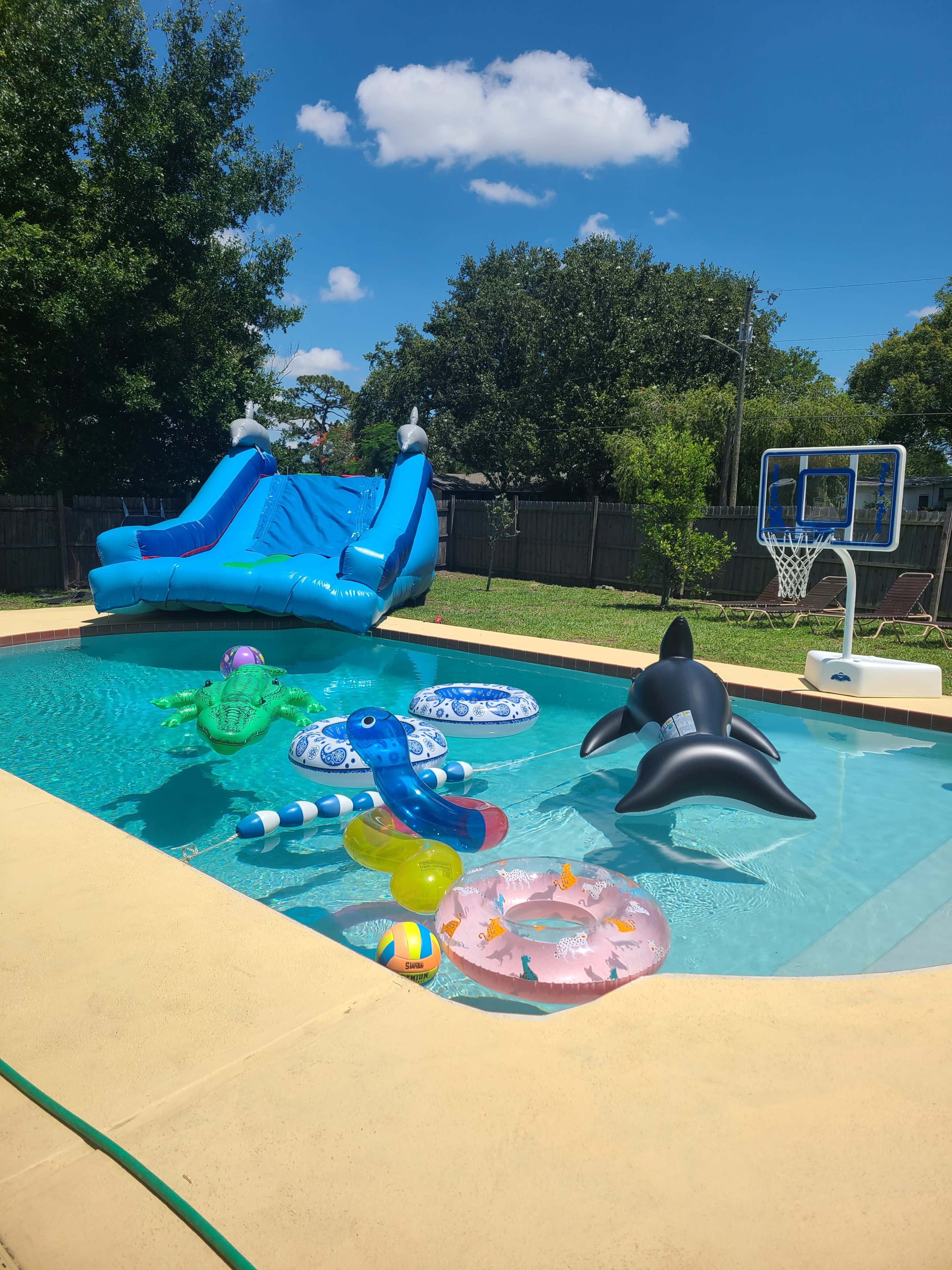A backyard swimming pool features a blue water slide and various inflatable floats scattered on the water, including a dolphin, an octopus, and a beach ball.