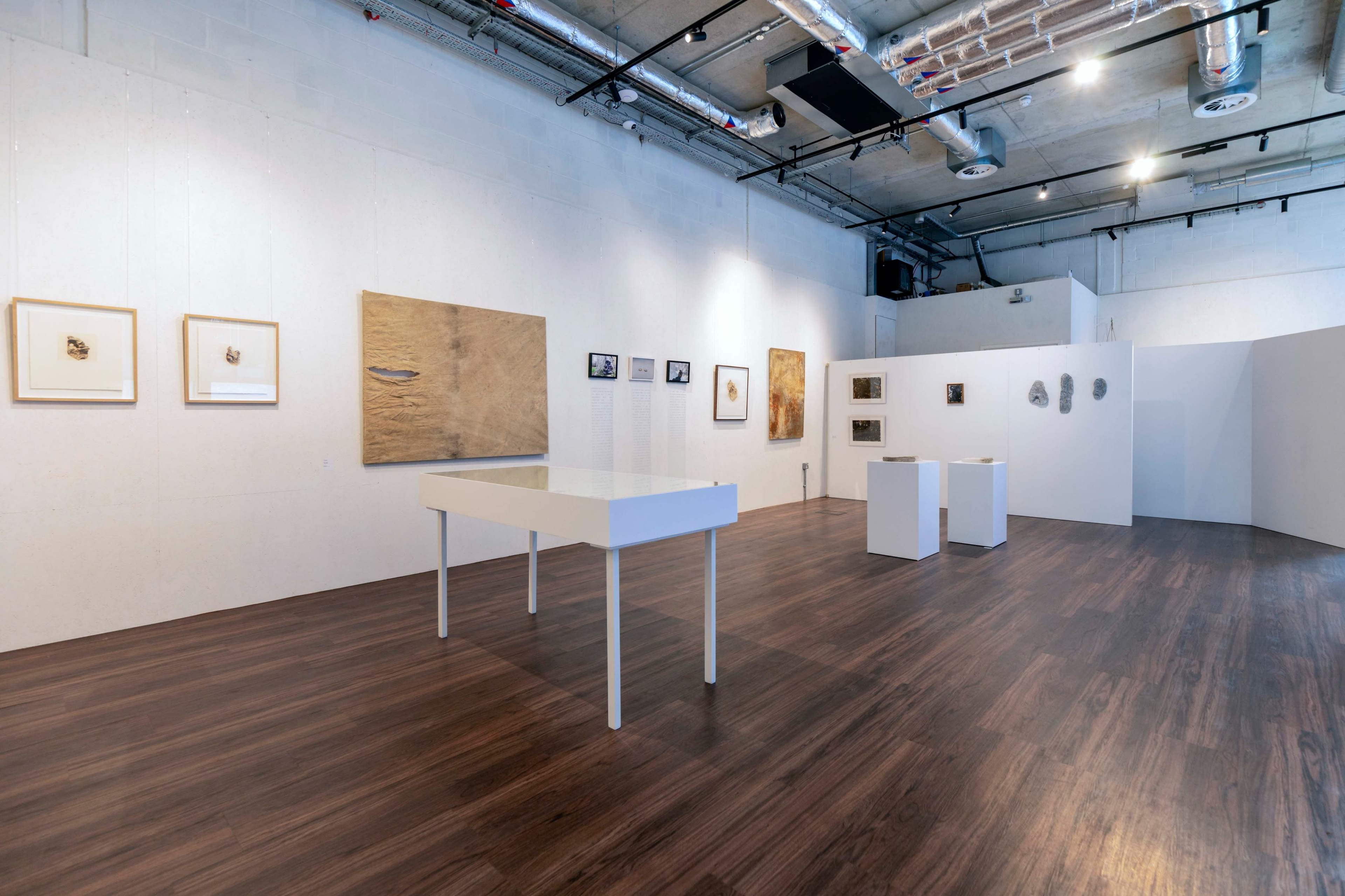 An art gallery with white walls displaying various framed artworks and sculptures, accompanied by wooden flooring.