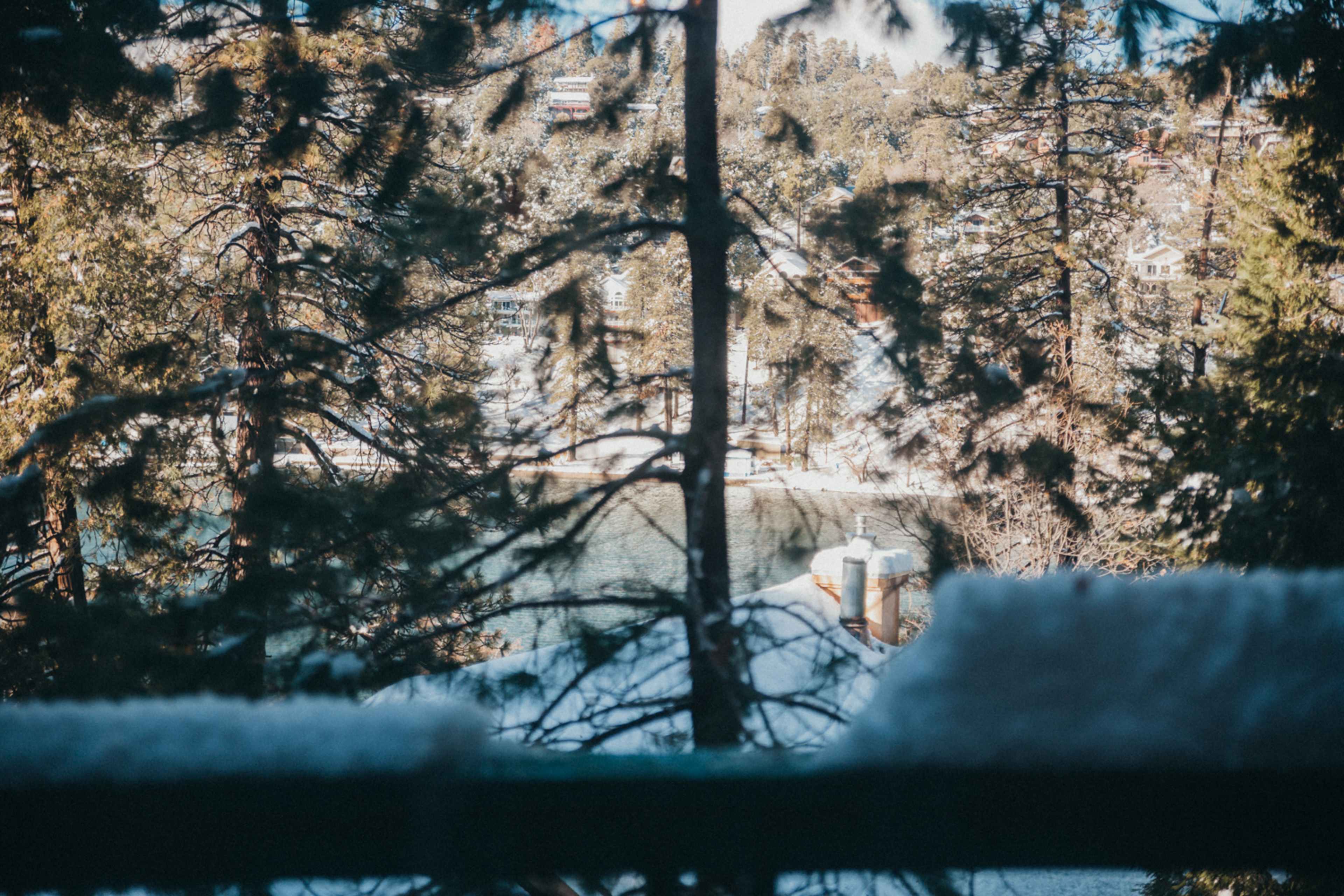 A snowy landscape is visible through trees, overlooking a body of water with houses in the background.