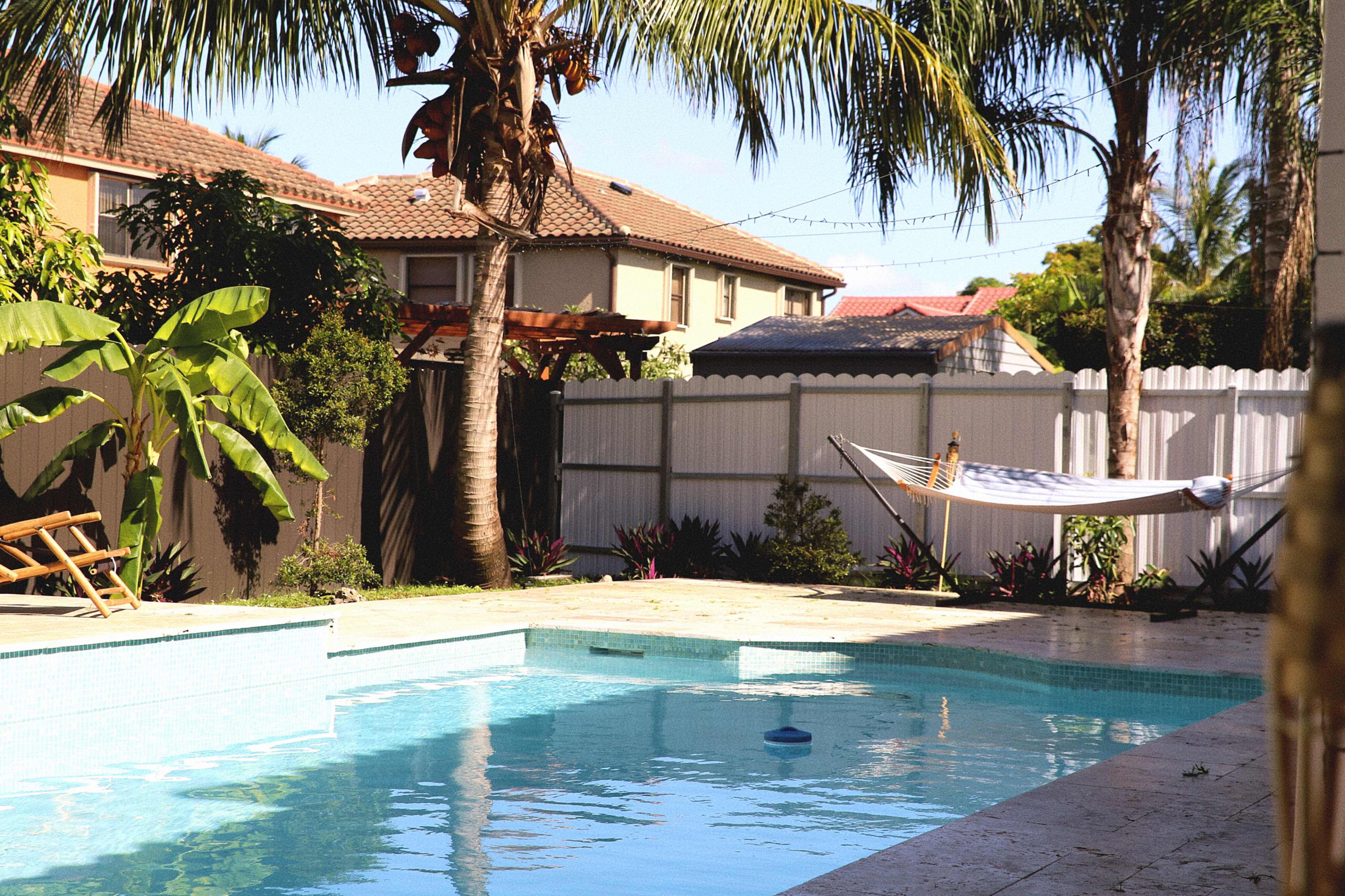 A tranquil backyard features a swimming pool surrounded by palm trees, a hammock, and a variety of plants.