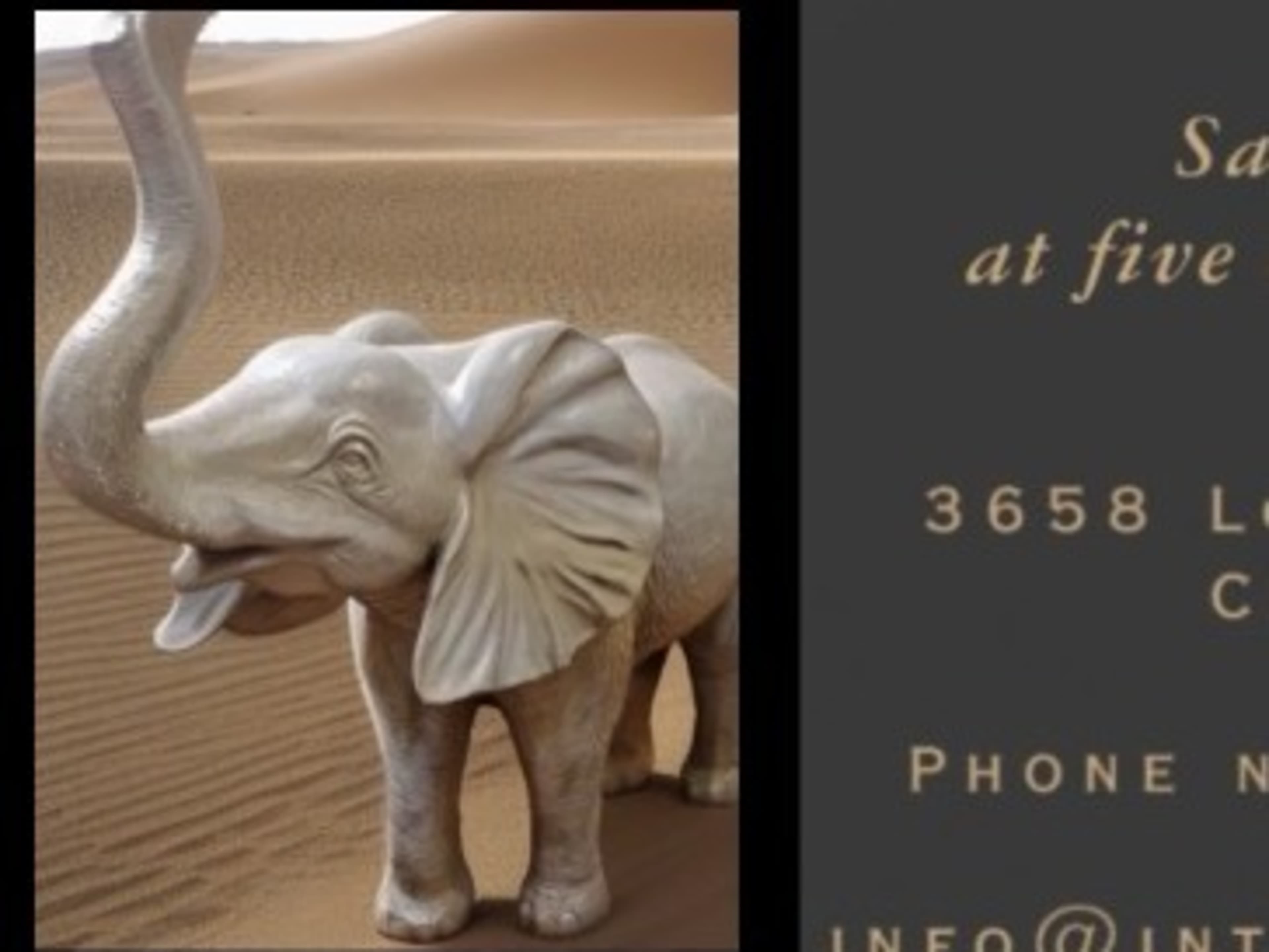Life size elephant prop