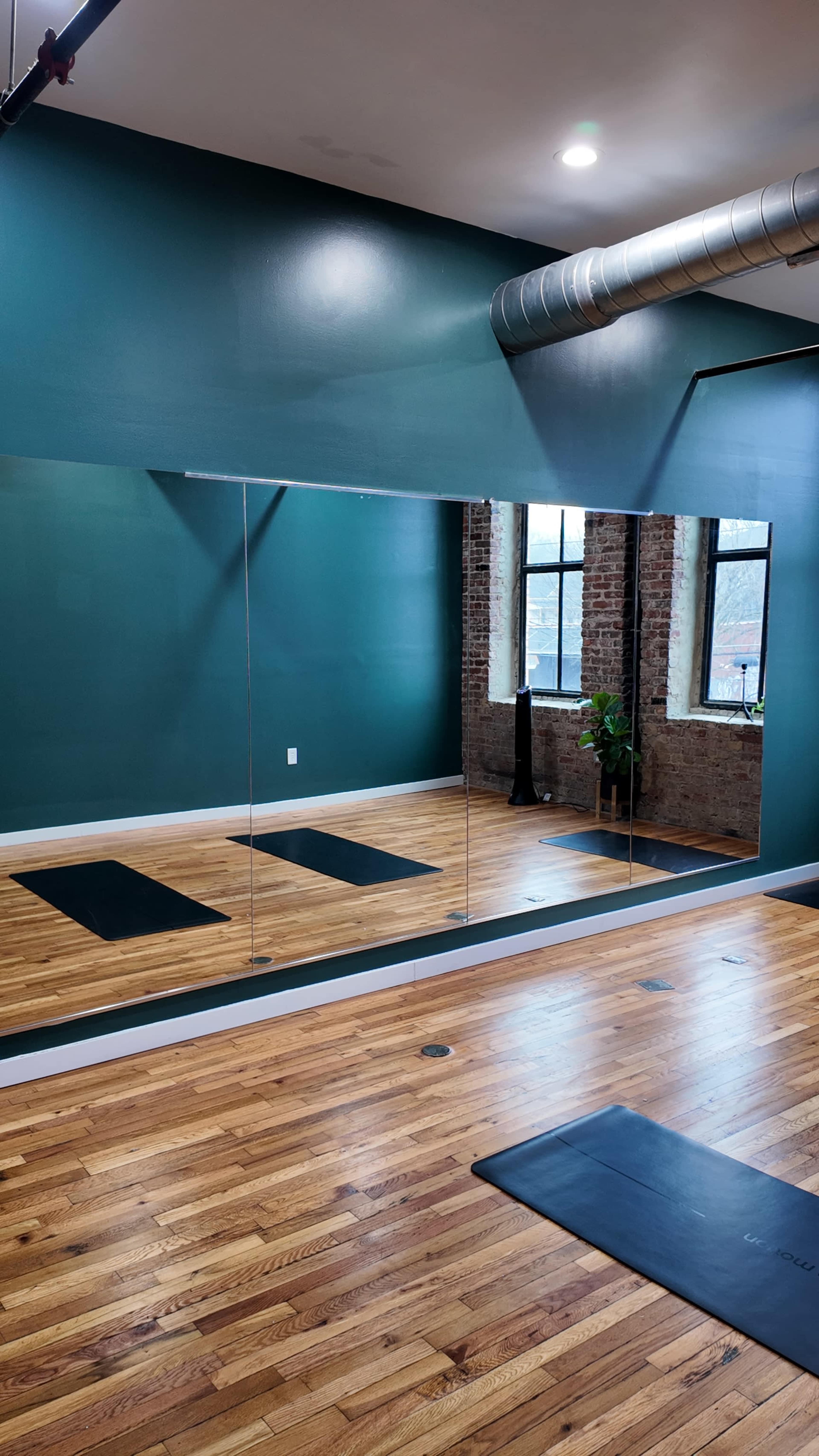 The image shows a room with wooden flooring, a large mirror on one wall, and two exercise mats positioned on the floor, alongside a plant near a window.