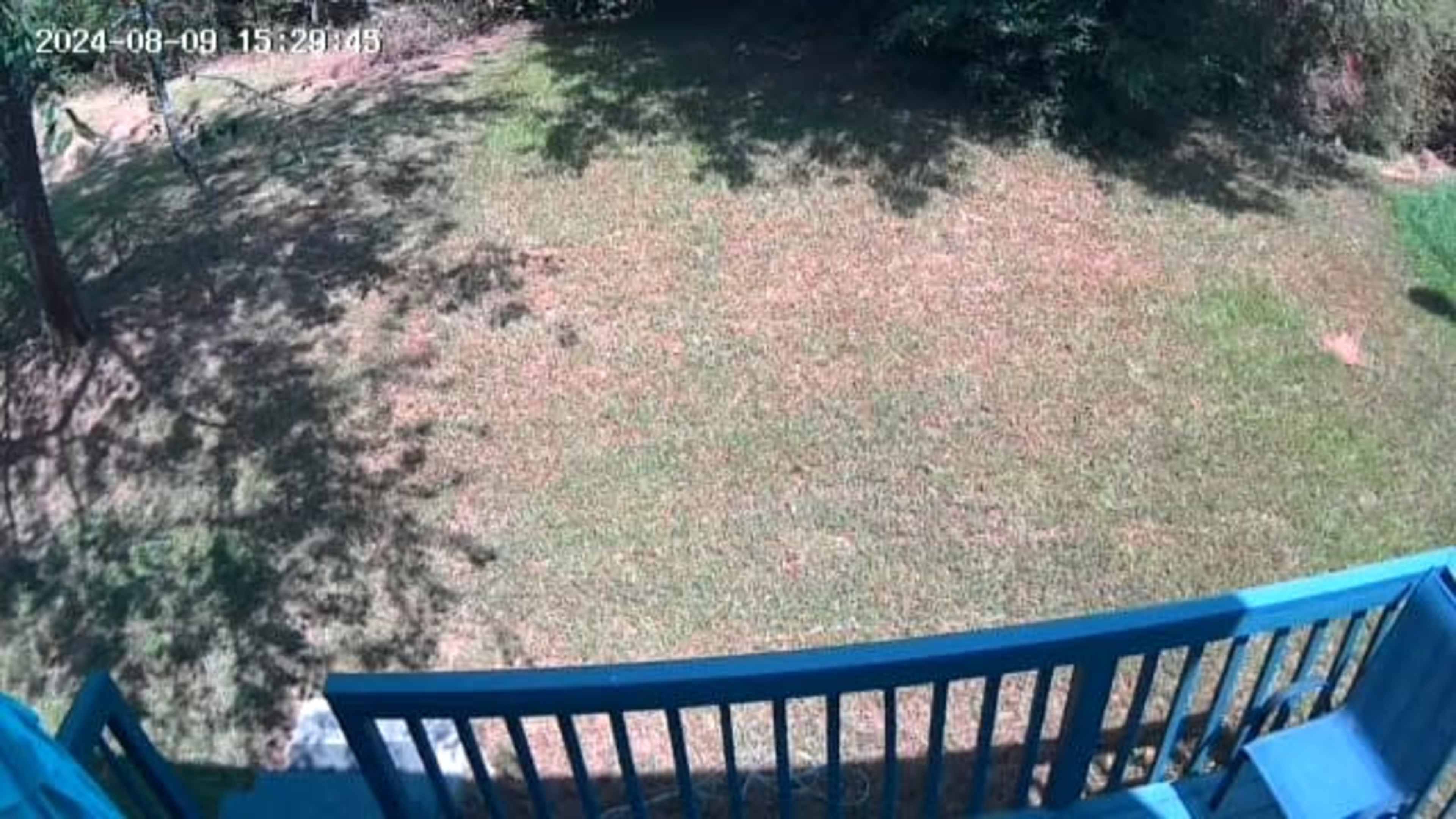 A grassy backyard with a wooden railing in the foreground and trees casting shadows on the lawn.