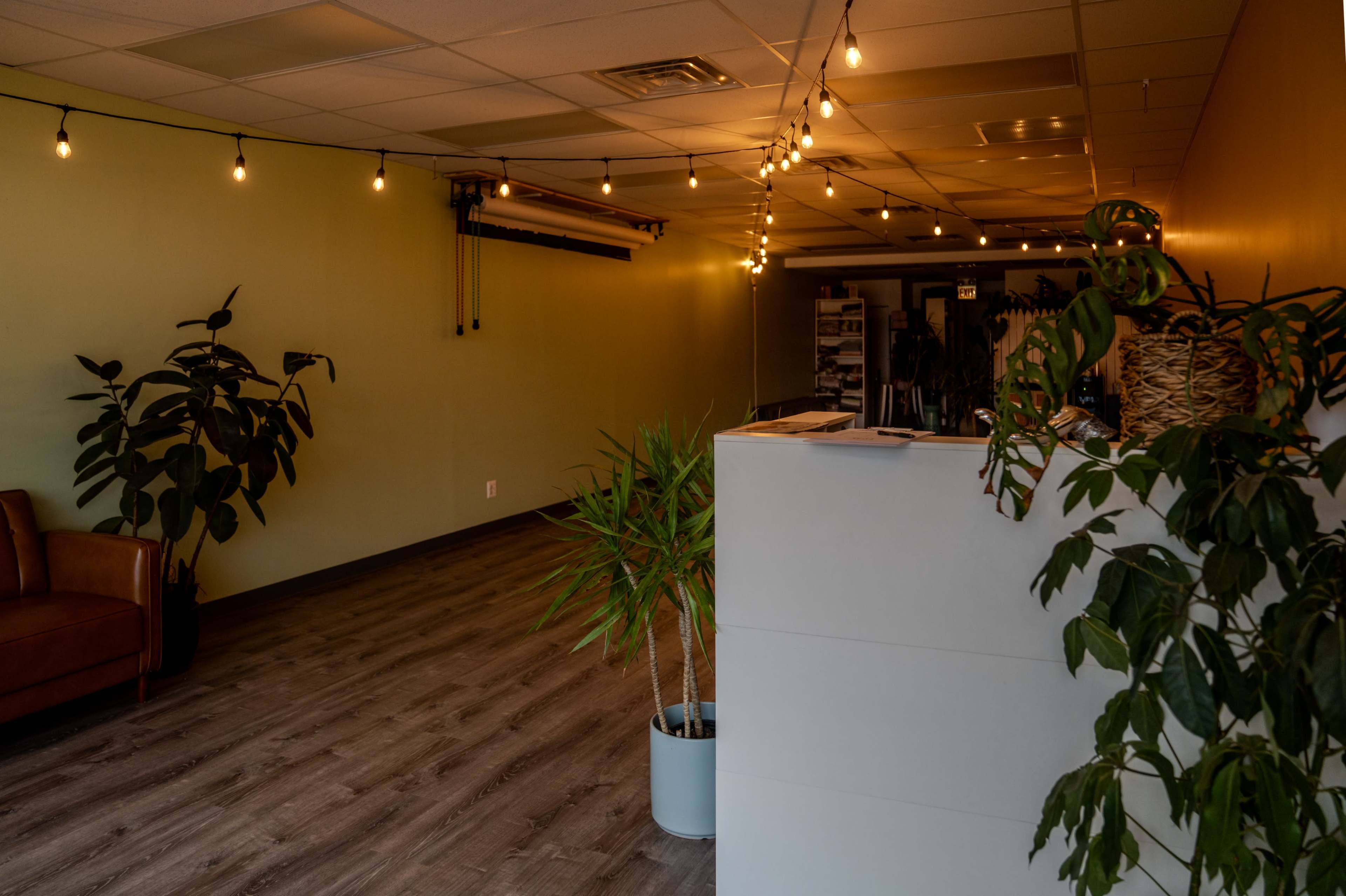 Photography Studio/Dance Hall/ Coworking. Open space, well lit. Option for warm lights. Image in Portage Park, Chicago, IL