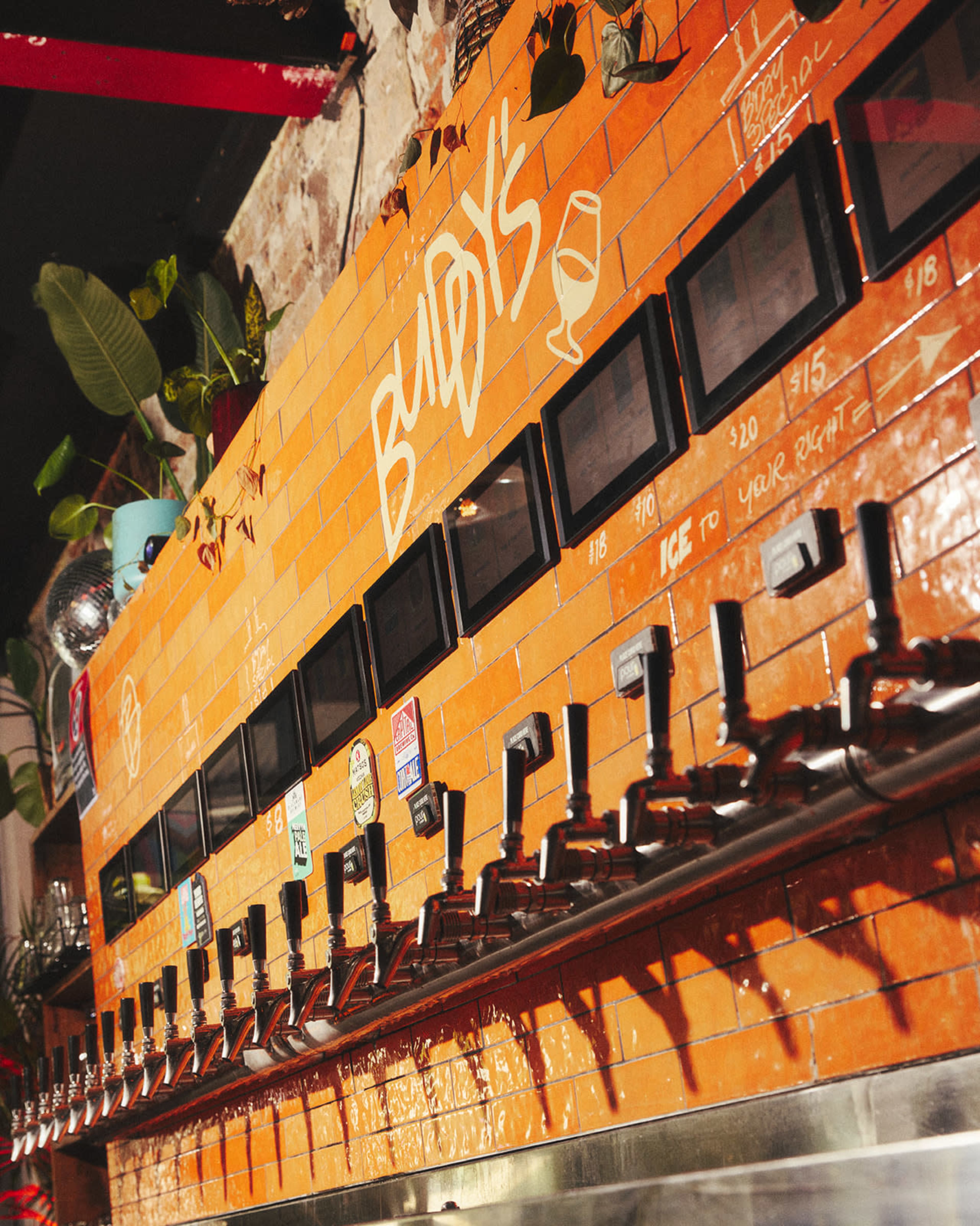 Buddy's Bar Image in Newtown, Newtown, NSW