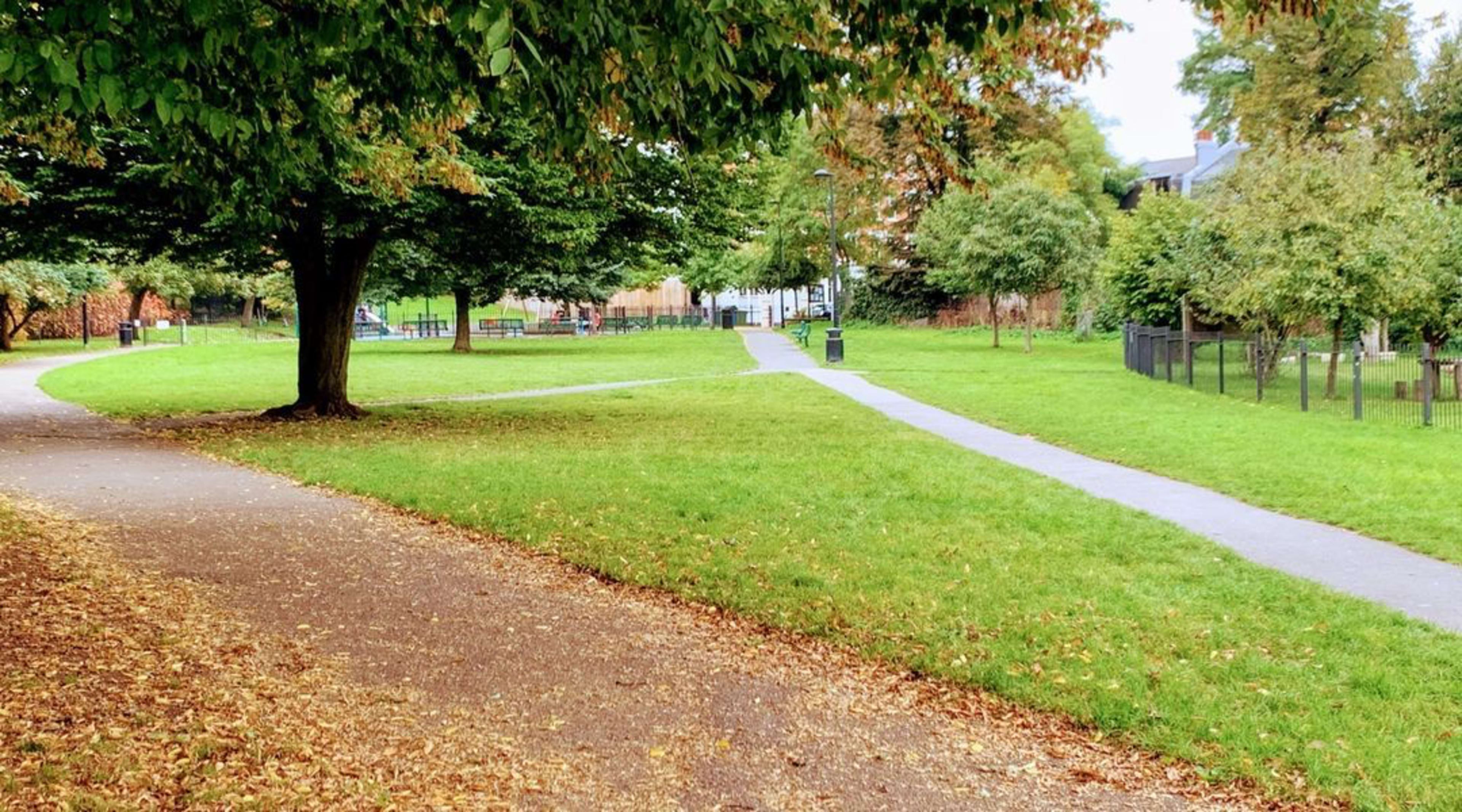 A park with two distinct pathways winding through green grass and surrounded by trees and benches.