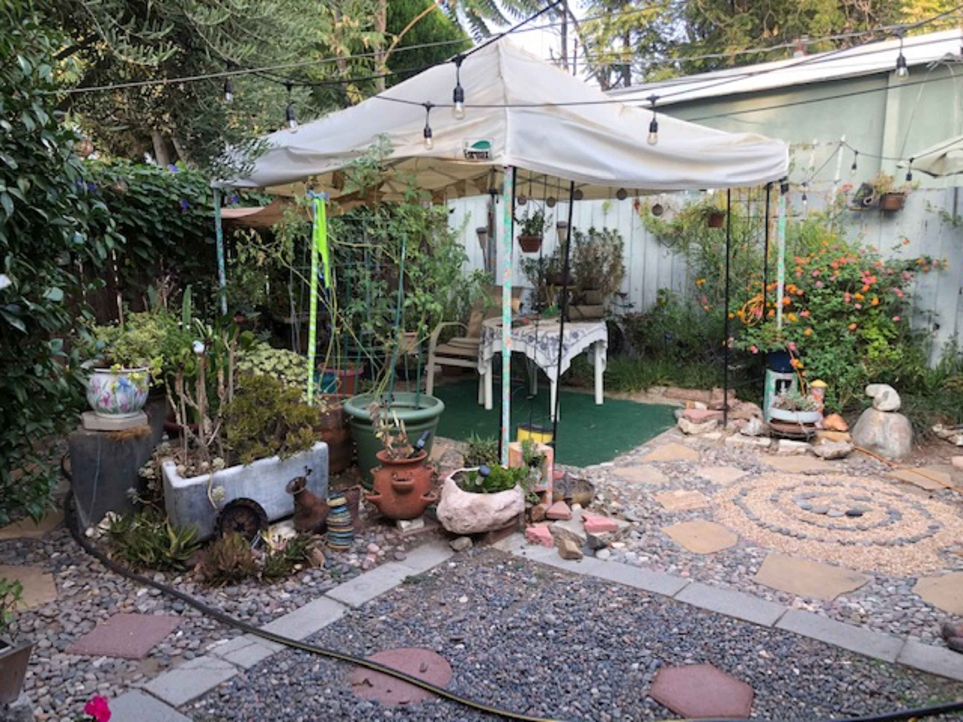 A garden space features a white canopy, various potted plants, a stone pathway, and decorative elements arranged around a circular stone pattern.