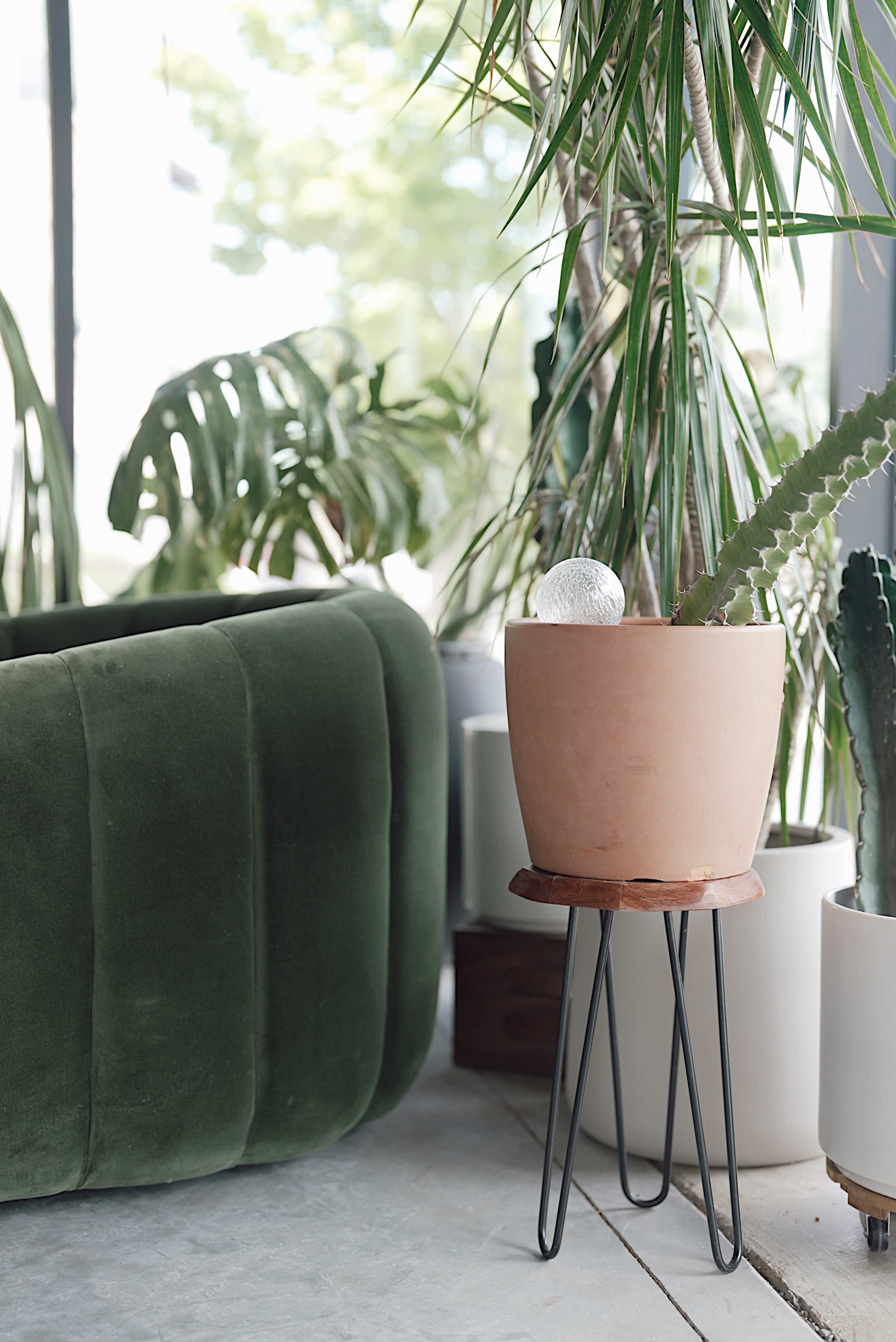 A green upholstered chair is positioned next to various potted plants, including a tall palm and a succulent in a terracotta pot atop a metal stand.