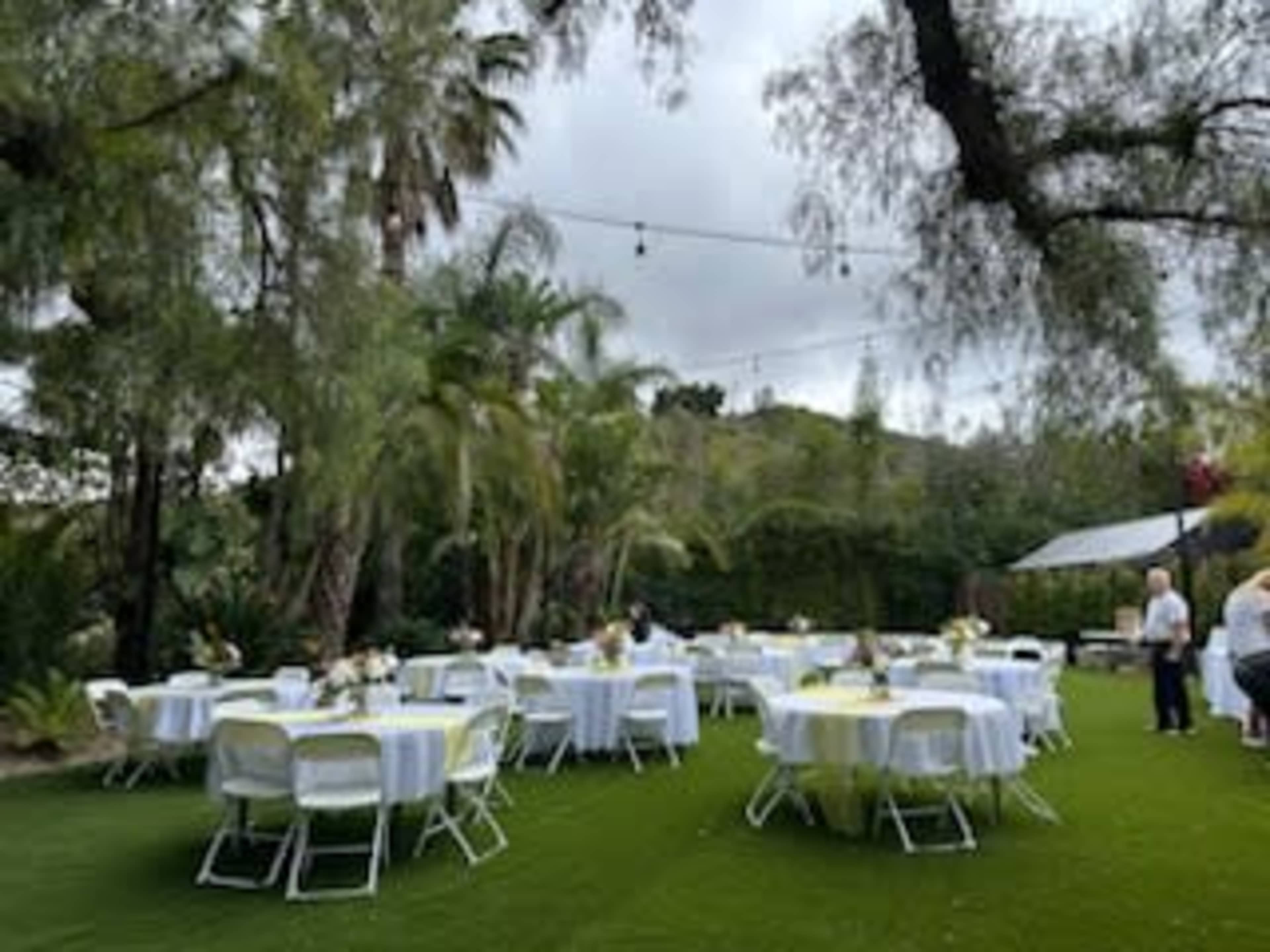 White Plastic Chairs