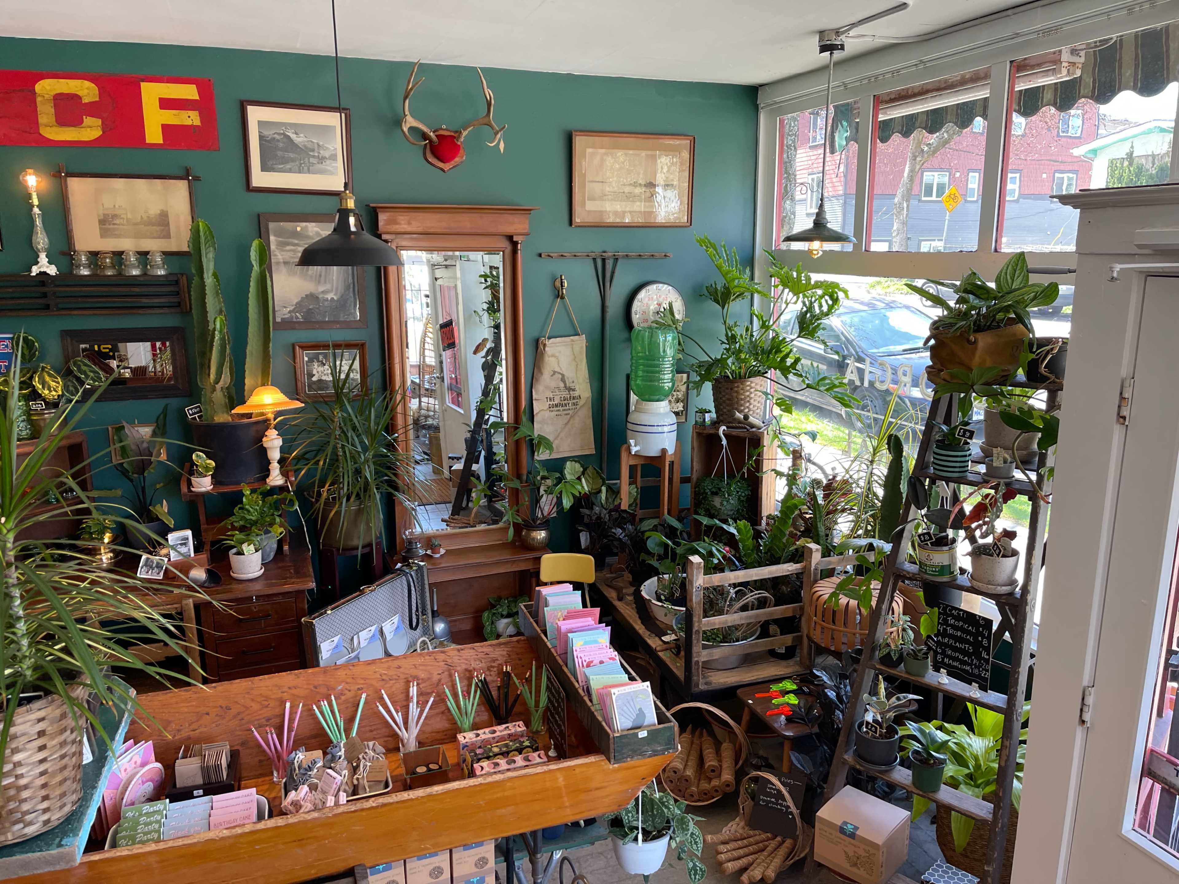 A cozy shop filled with various plants, decorative items, and artisanal products, featuring wooden displays and green walls.