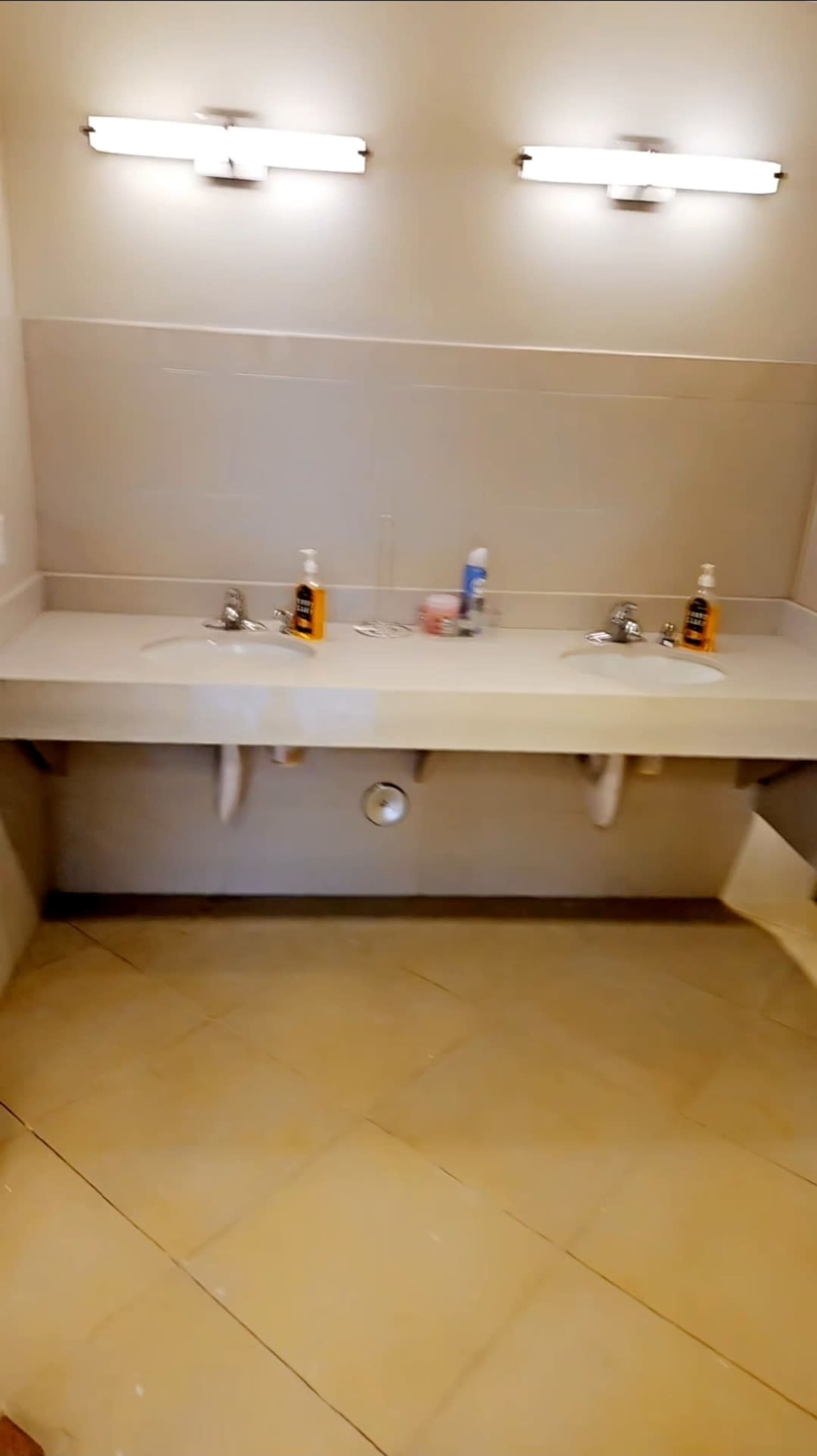 The image shows a bathroom with dual sinks and wall-mounted lights above a long counter.