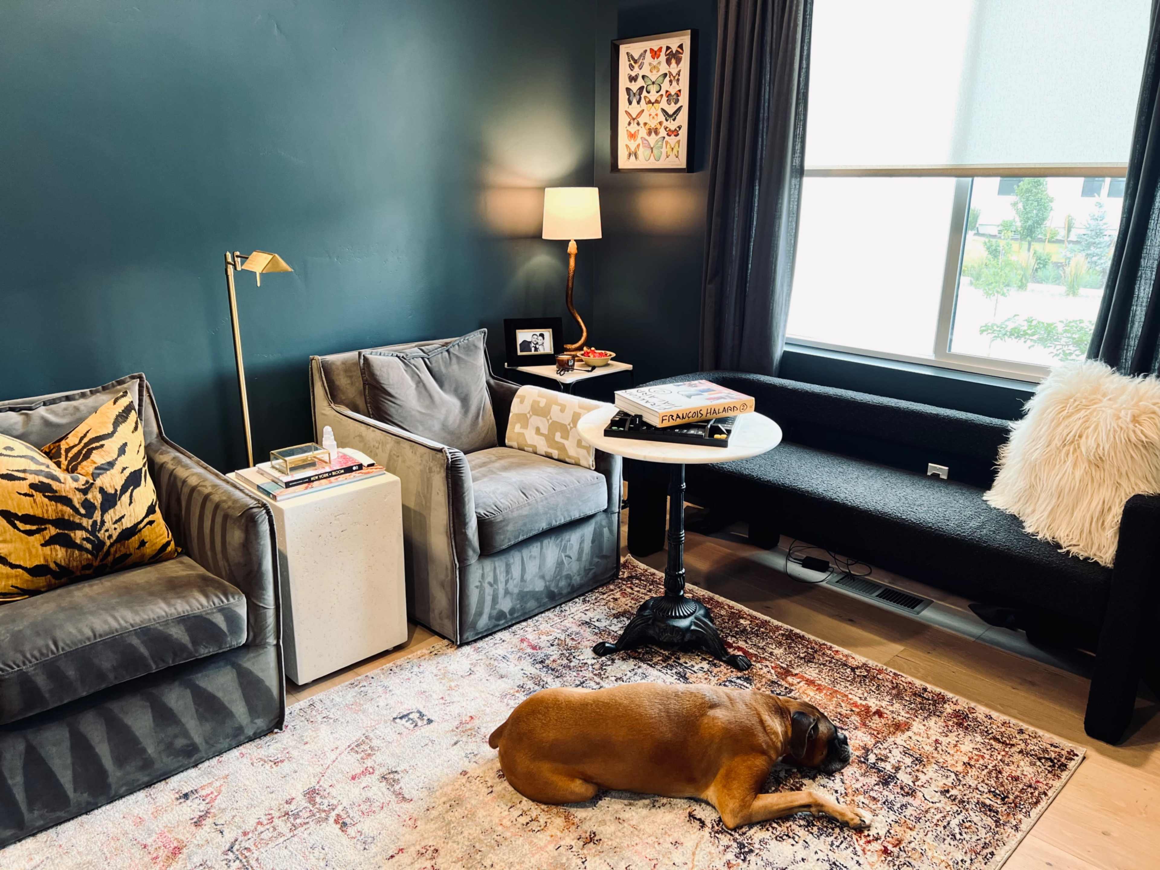 A brown dog lies on a patterned rug in a cozy living room featuring two armchairs, a coffee table, and a lamp, against a dark wall with butterfly artwork.