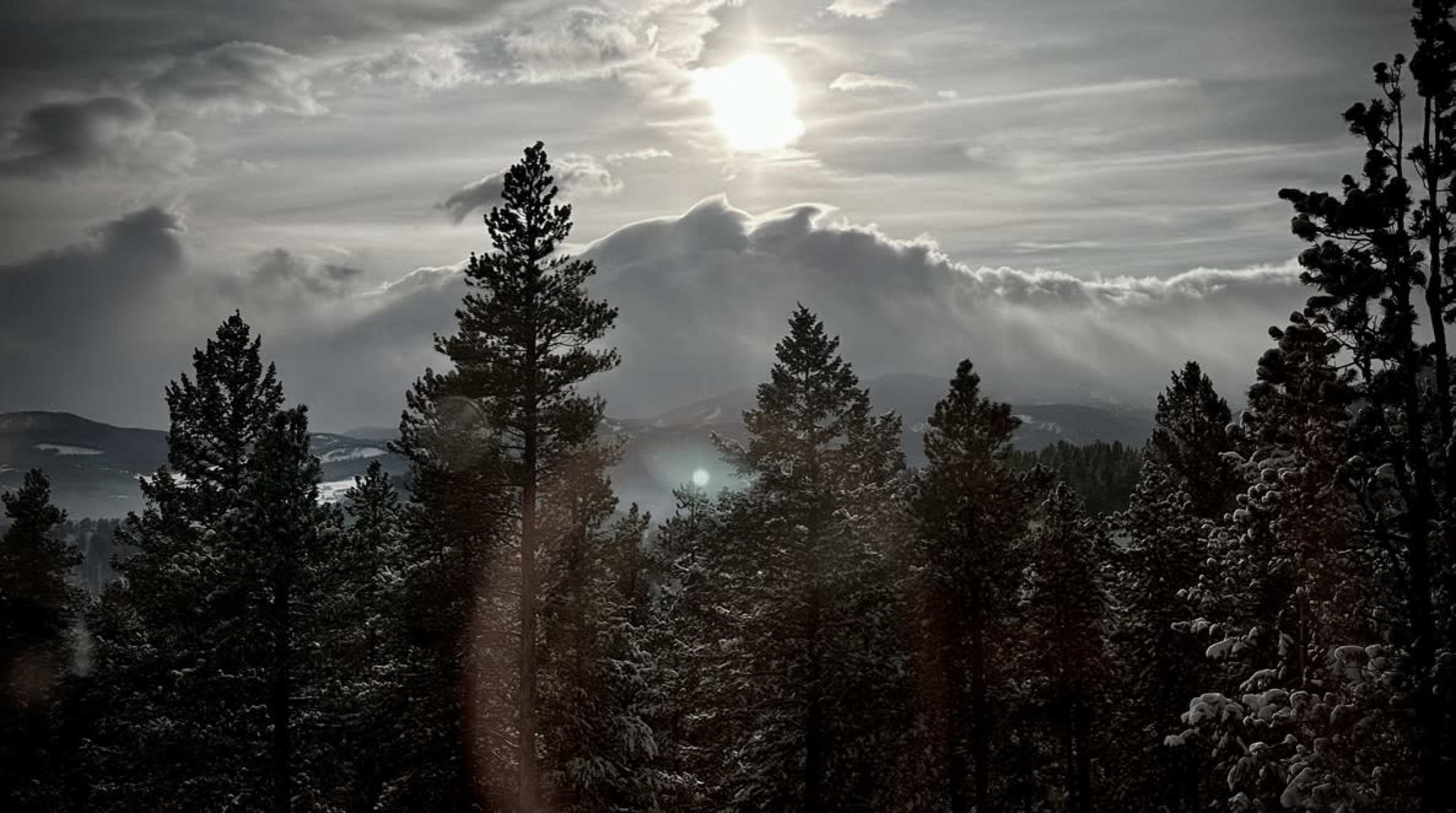 The scene features a forest of pine trees silhouetted against a cloudy sky, with the sun partially obscured by clouds.