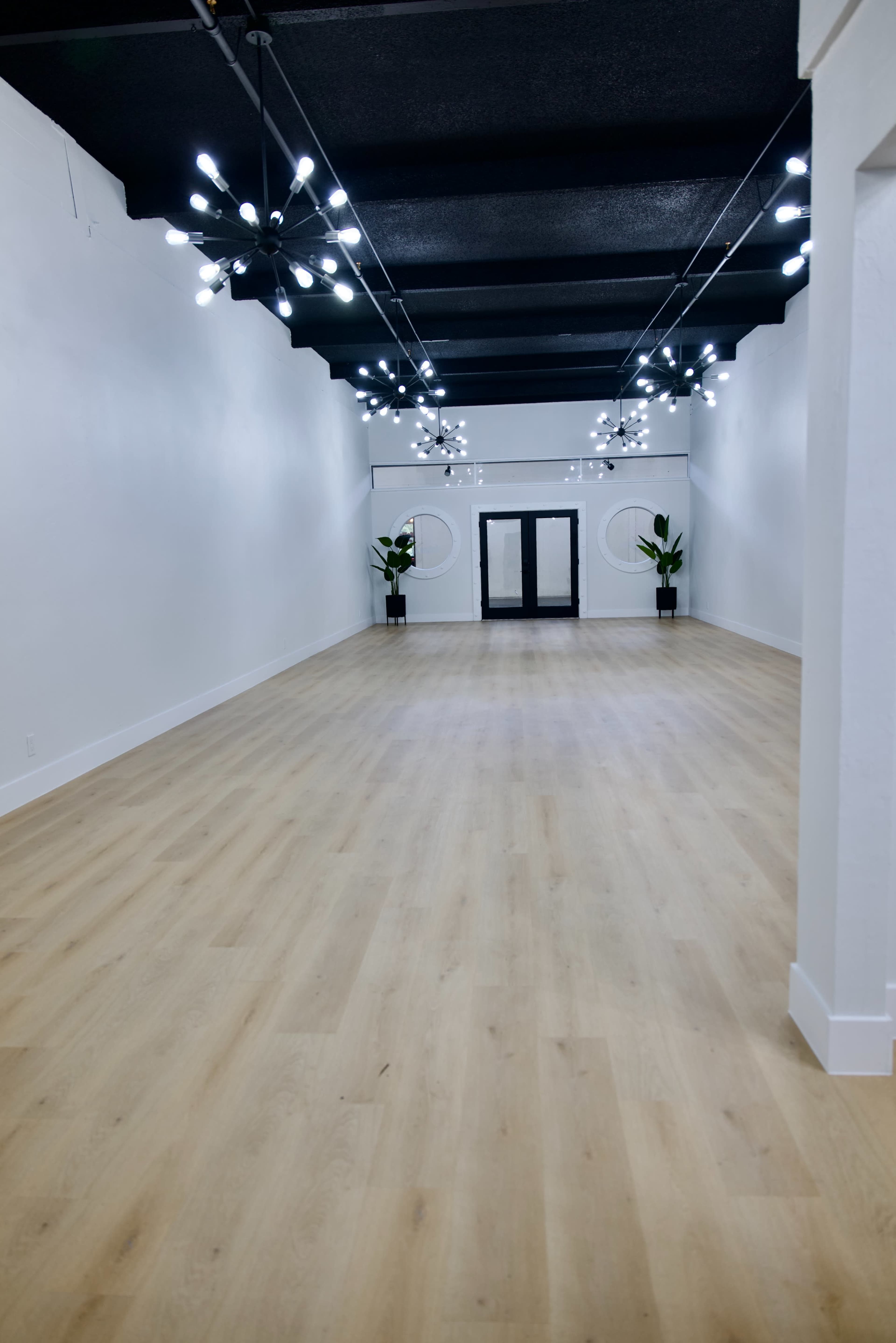 The image shows a spacious, brightly lit interior with modern lighting fixtures, wooden flooring, and two plants on either side of a set of glass doors.
