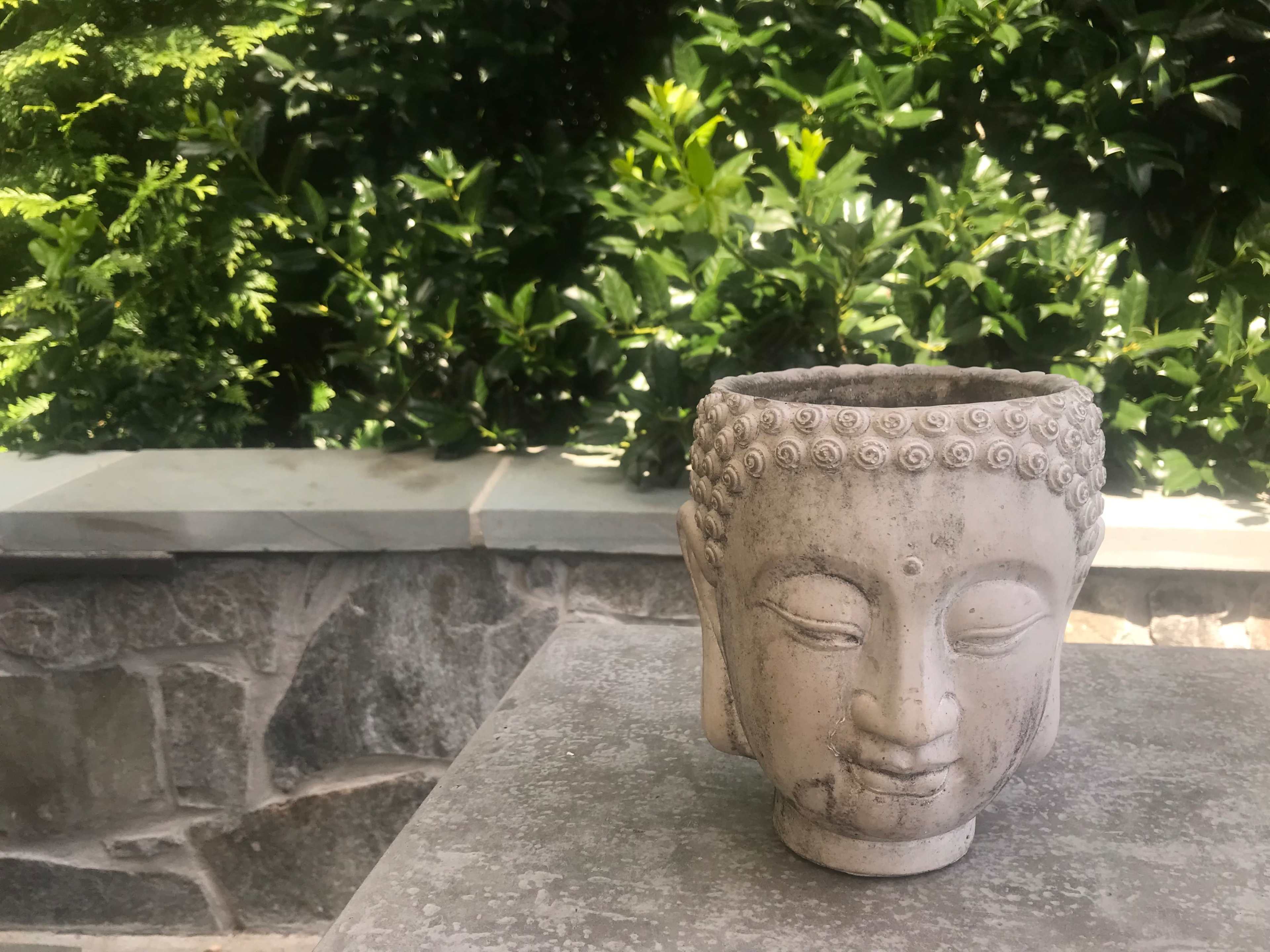 A stone Buddha head planter sits on a stone surface against a backdrop of lush greenery.