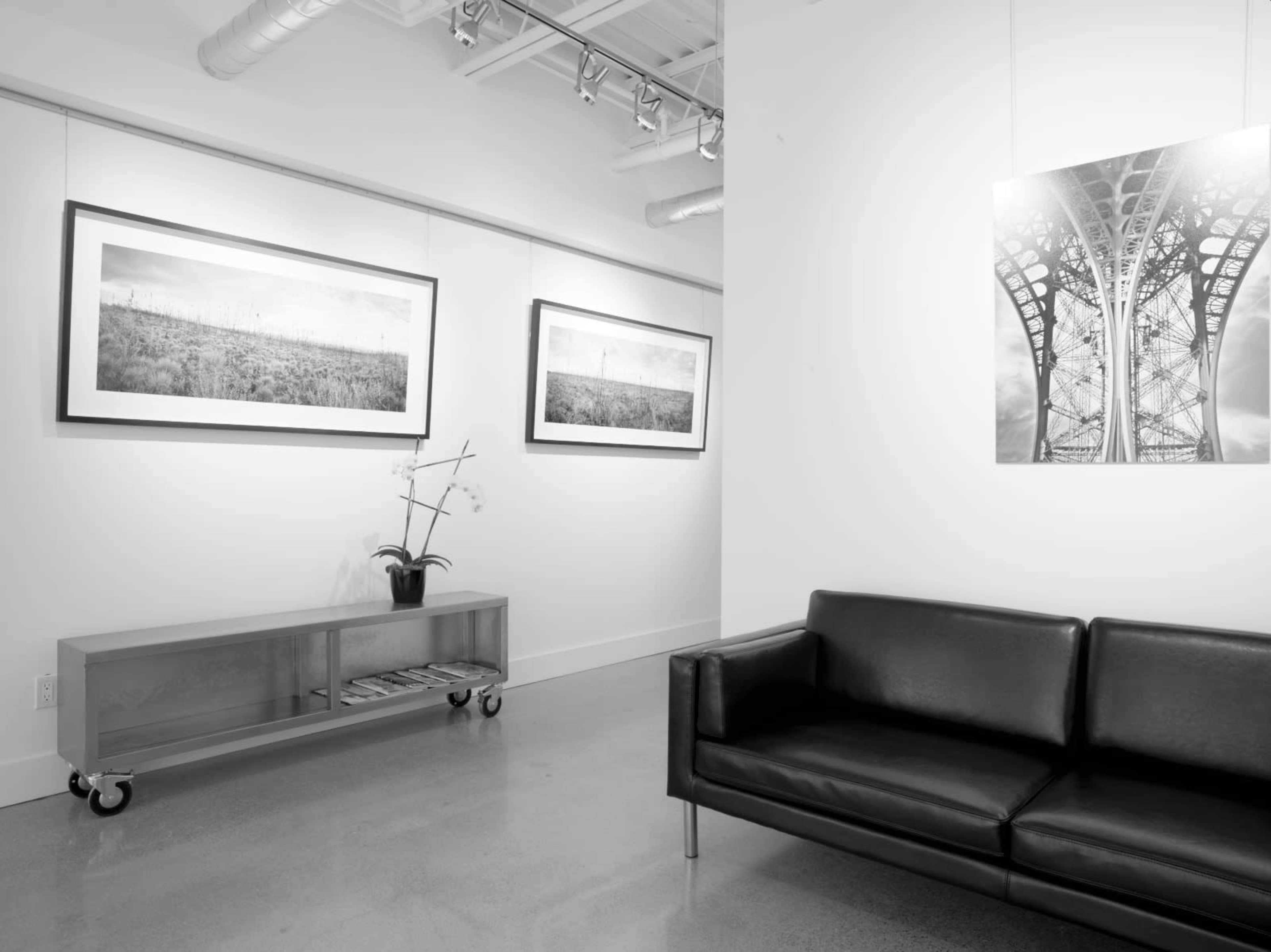 A minimalist art gallery featuring three framed black-and-white photographs on the walls, a modern couch, and a side table with a plant.